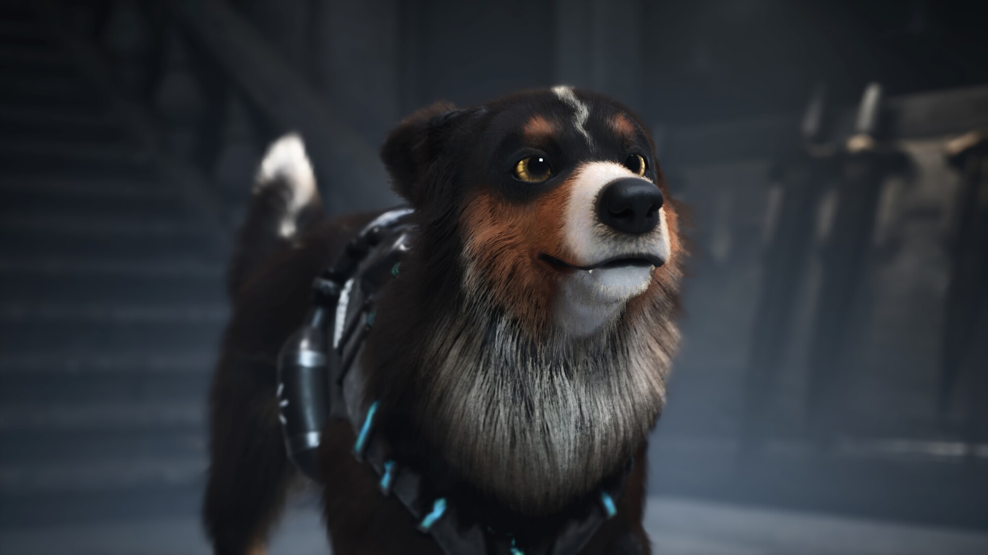 Barkour #3