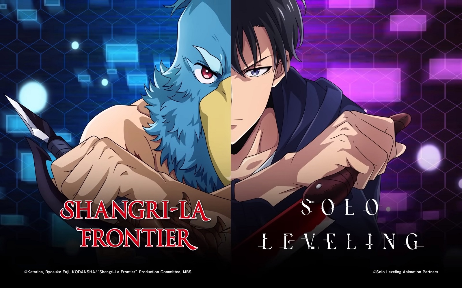 user-88966 main blog image