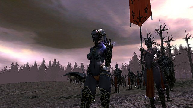 Kingdom Under Fire: The Crusaders