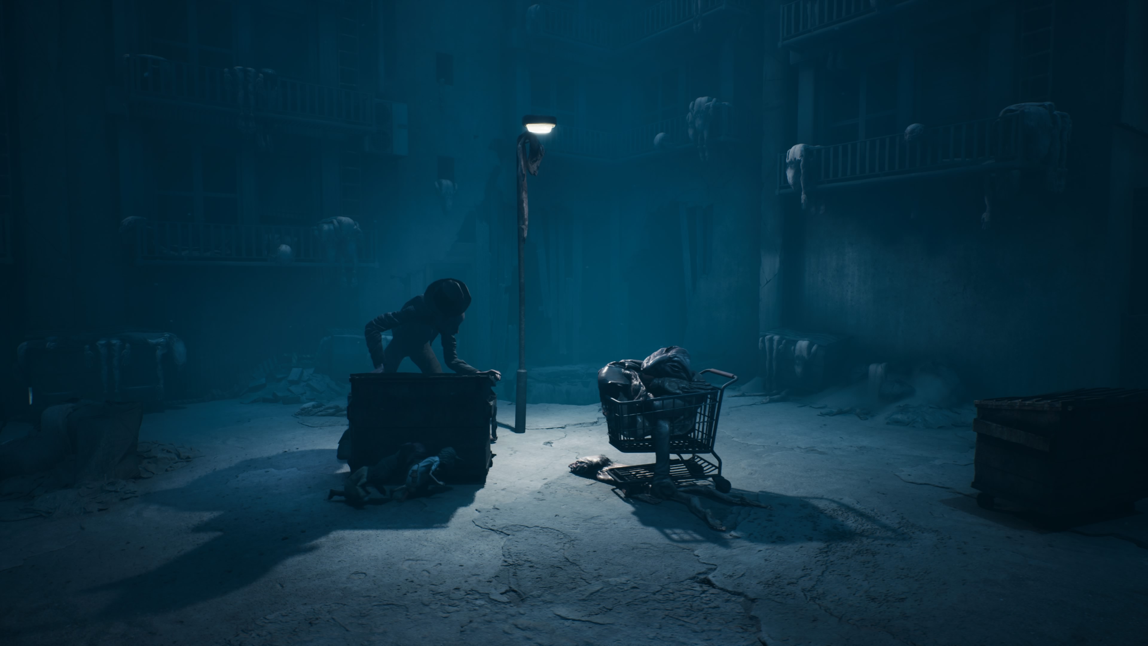 Reanimal - Akt 1: Dom oczyszczenia, opis przejścia, znajdźki