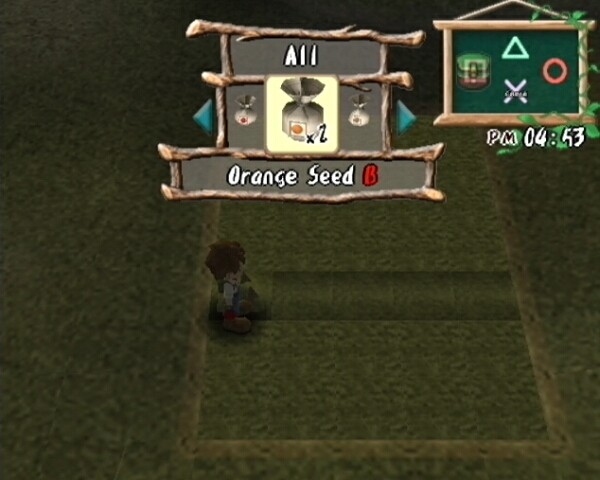 Harvest Moon: A Wonderful Life