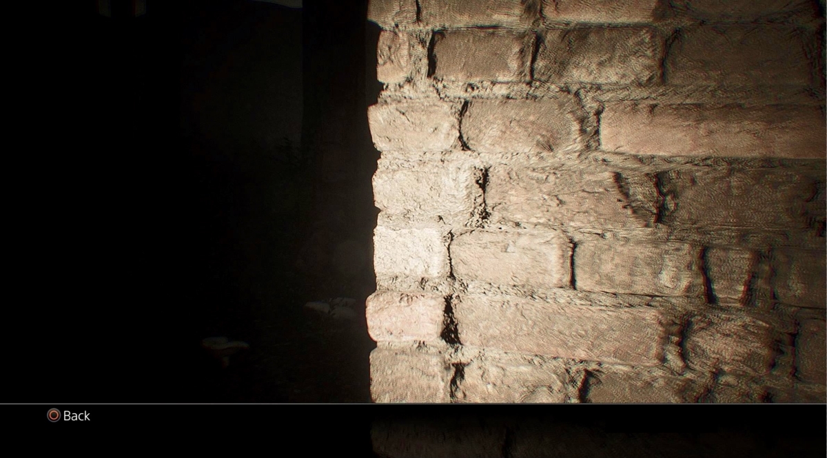 Abandoned – wyciekły screeny z gry. Deweloperzy potwierdzają autentyczność materiałów