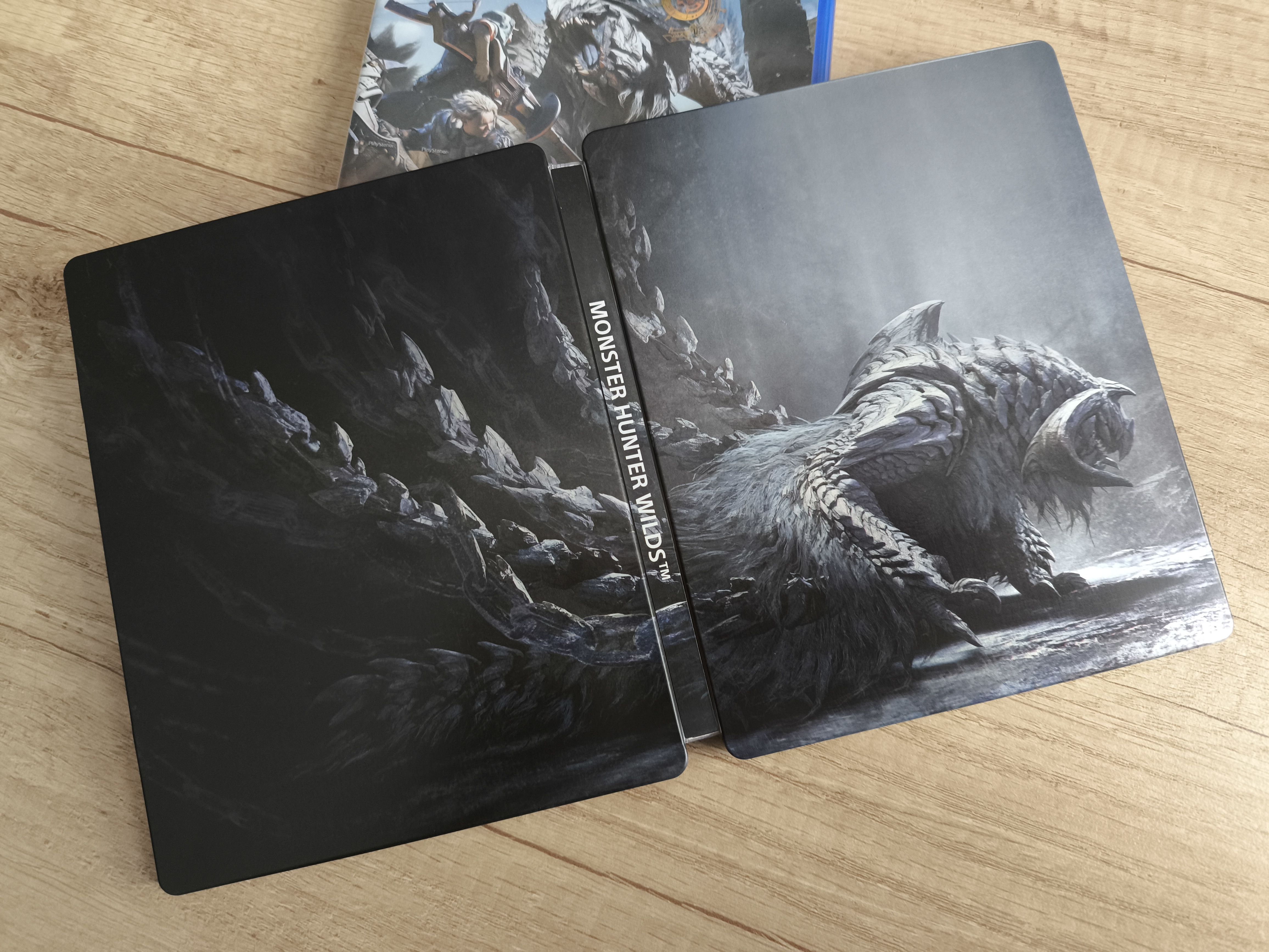 Monster Hunter Wilds #6