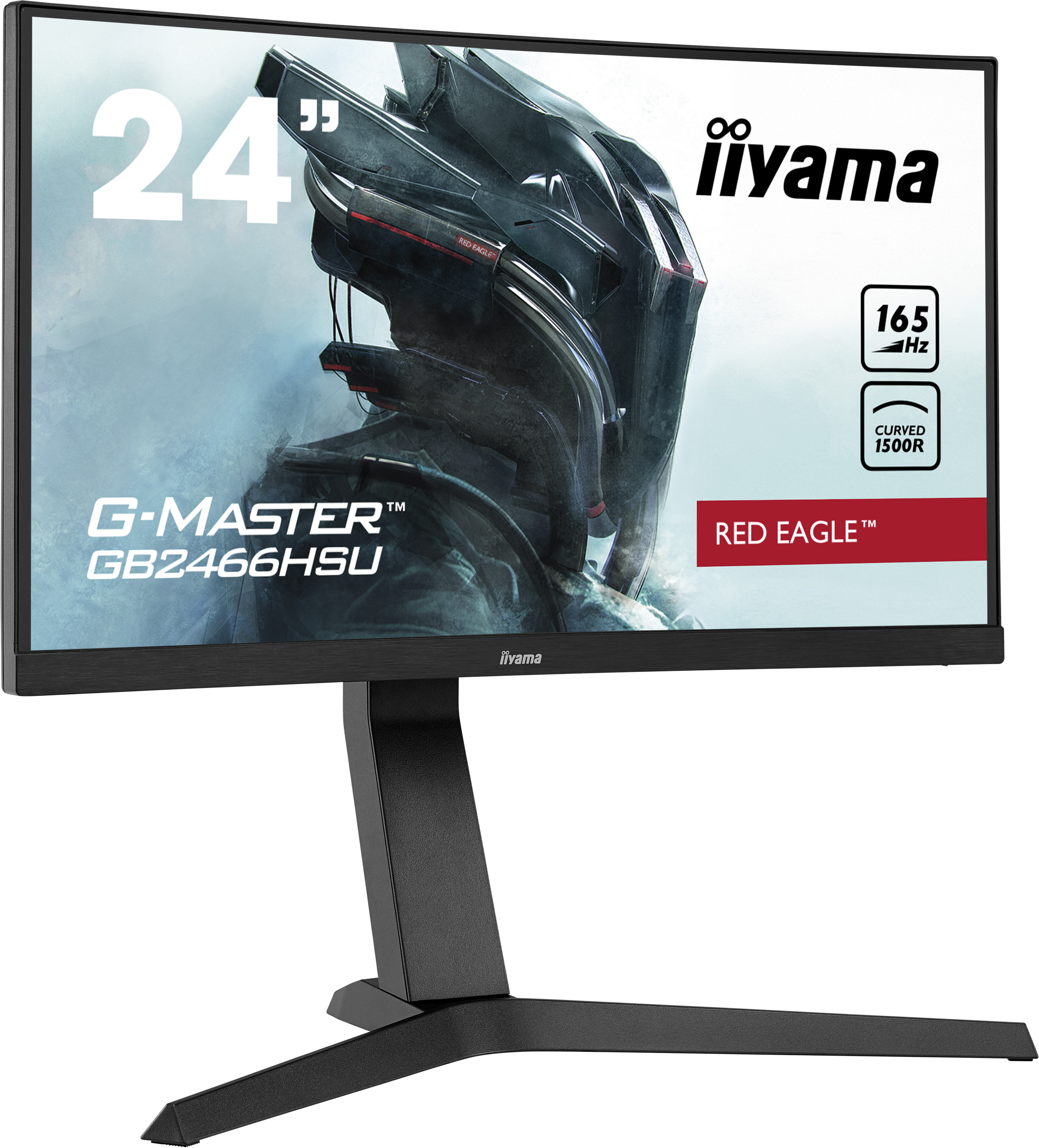 IIyama_5