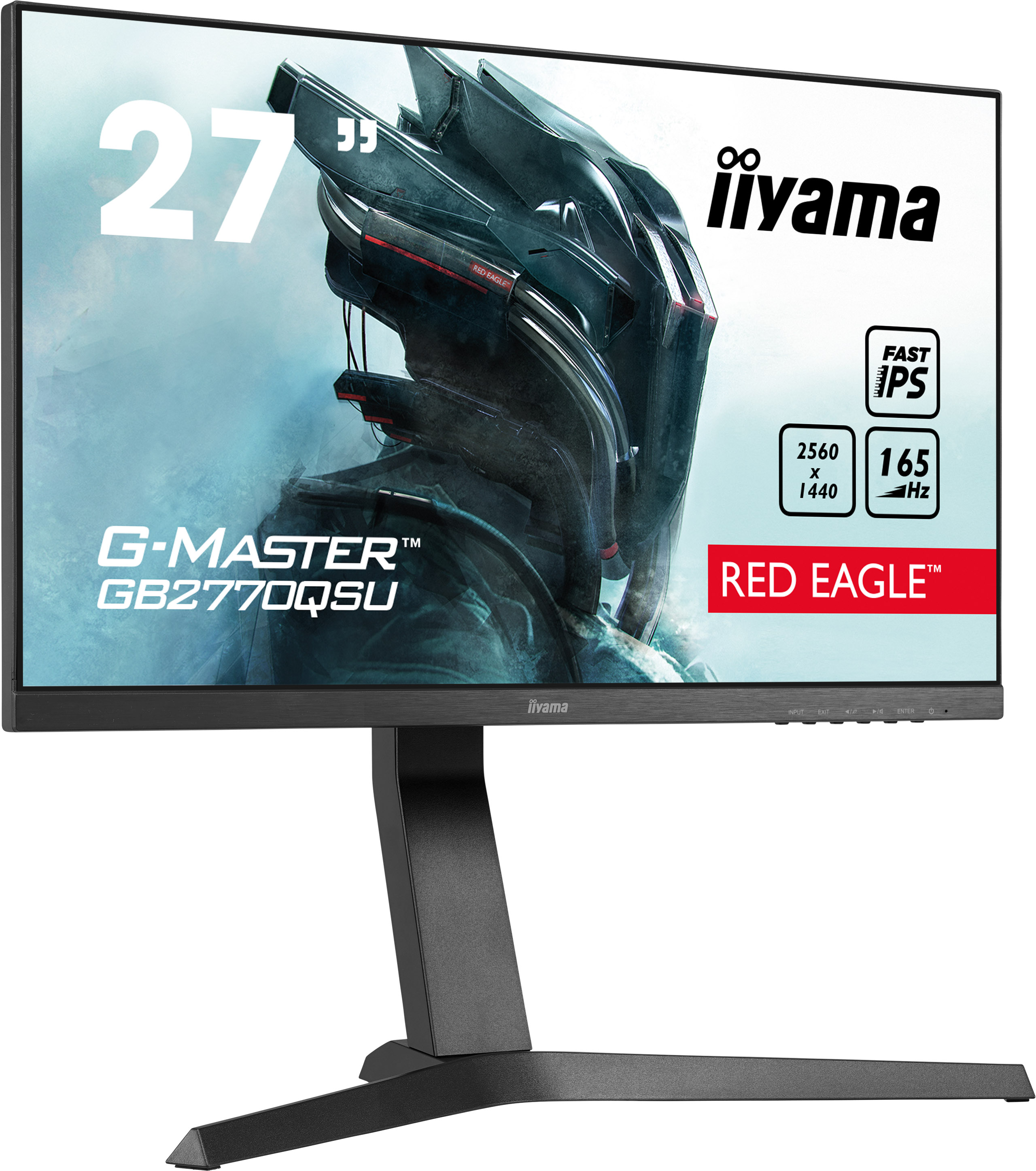 Iiyama_3