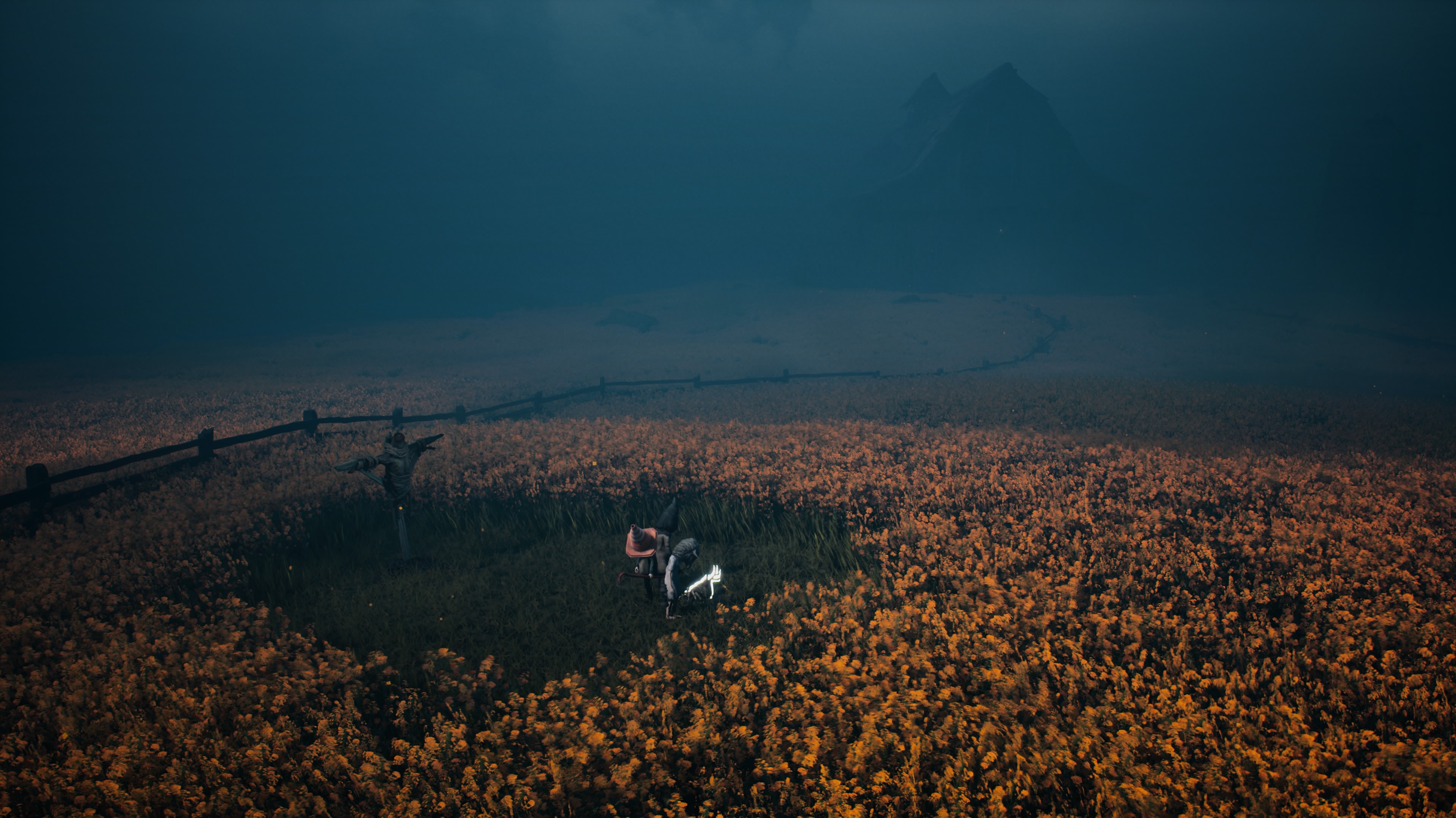 Reanimal - Akt 1: Powodzianie, opis przejścia, znajdźki: mur, jezioro, harpun, hotel, armata, świnie