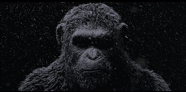 Zwiastun filmu Wojna o Planetę Małp