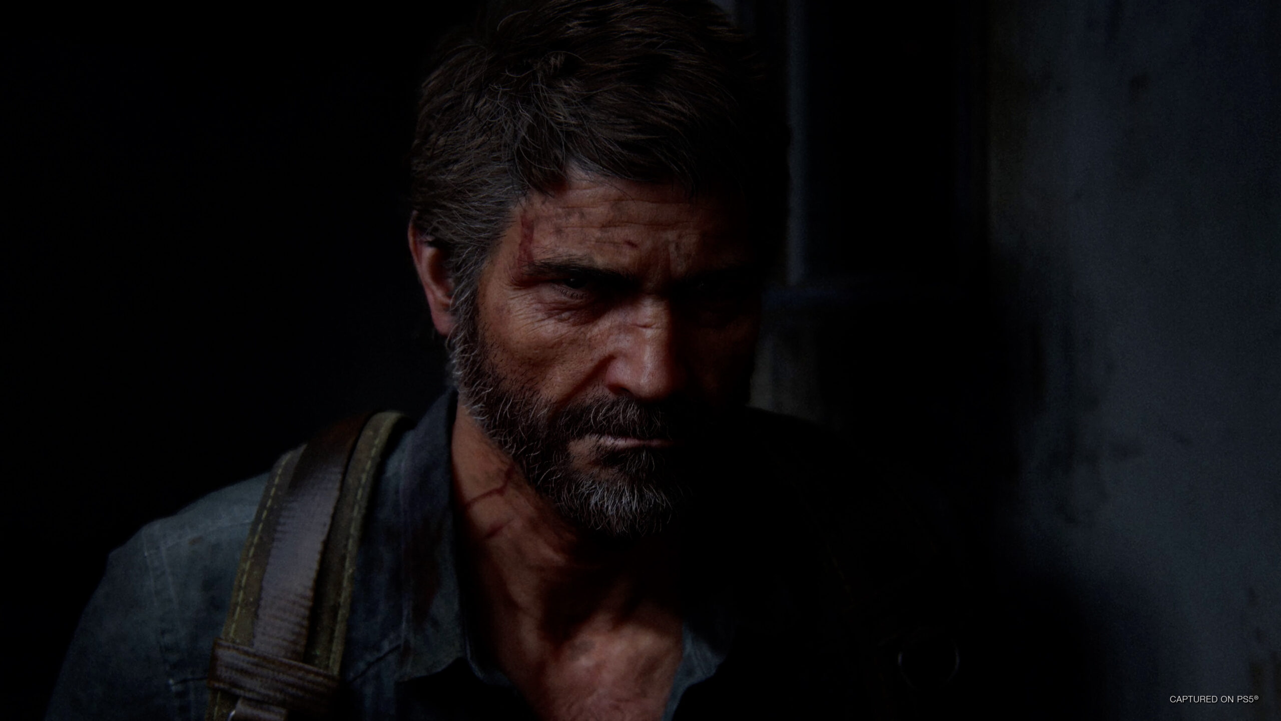 The Last of Us 2 Remastered #8