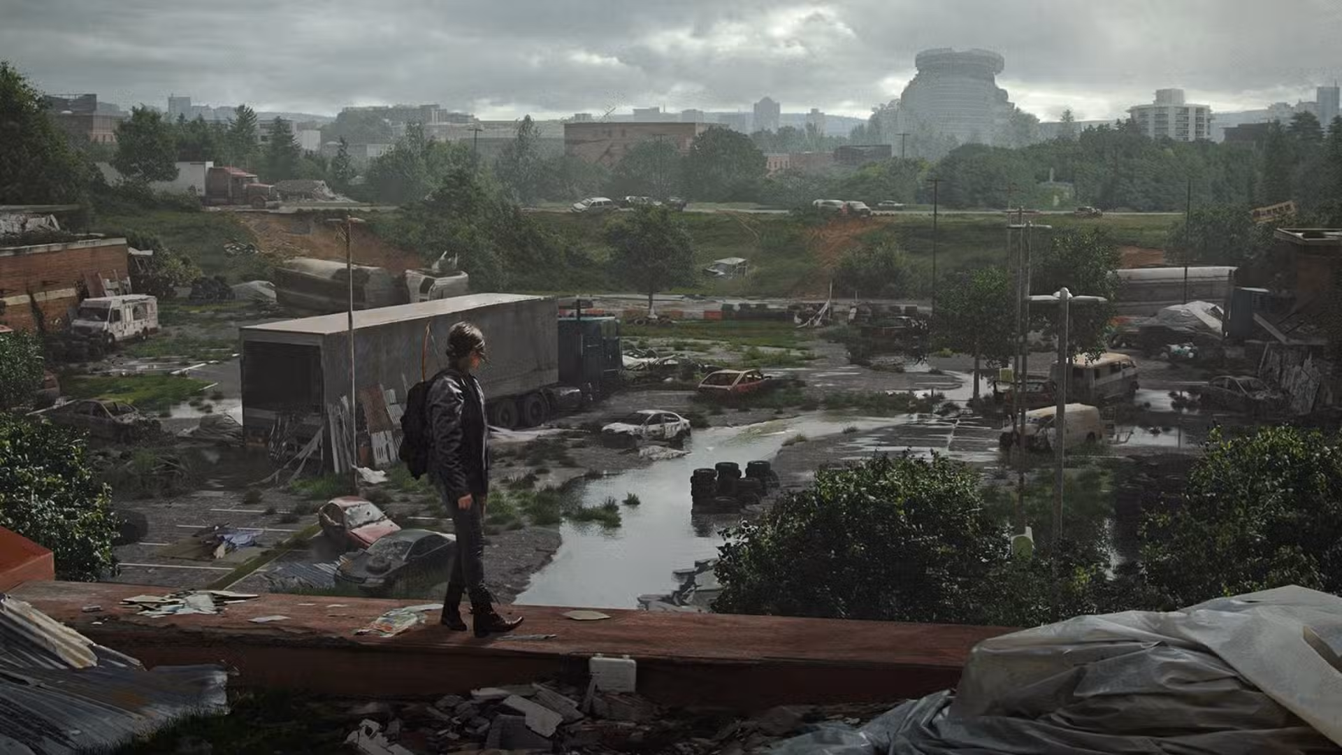The Last of Us Powerlines #3