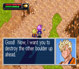 Dragon Ball Z: The Legacy of Goku II