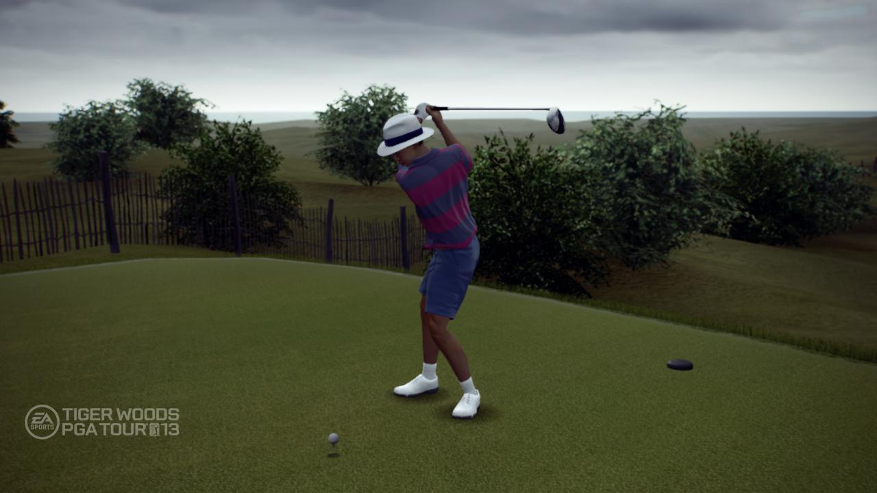 Tiger Woods PGA Tour 13 #6