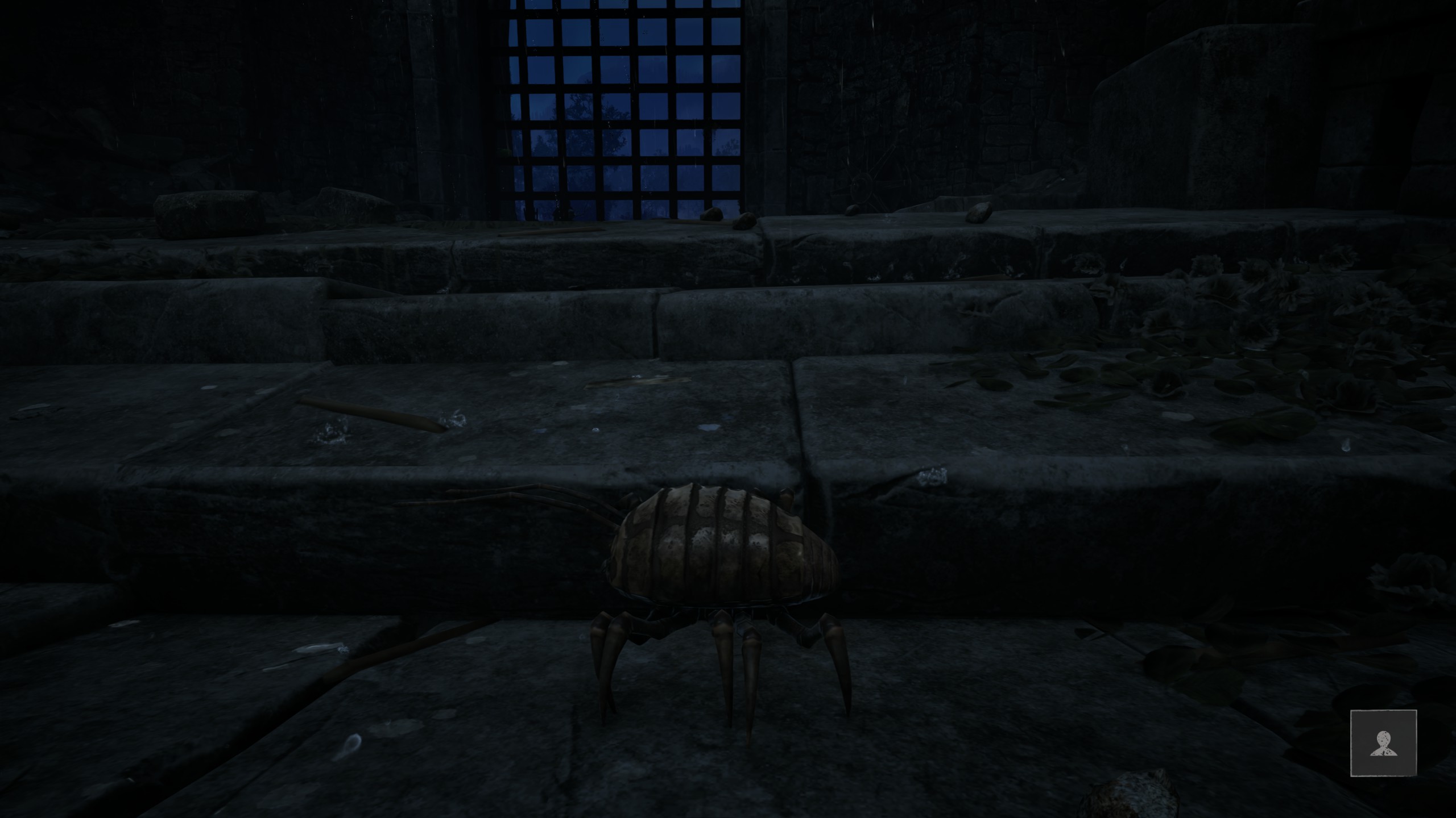 The Focus in the Monastery Ruins