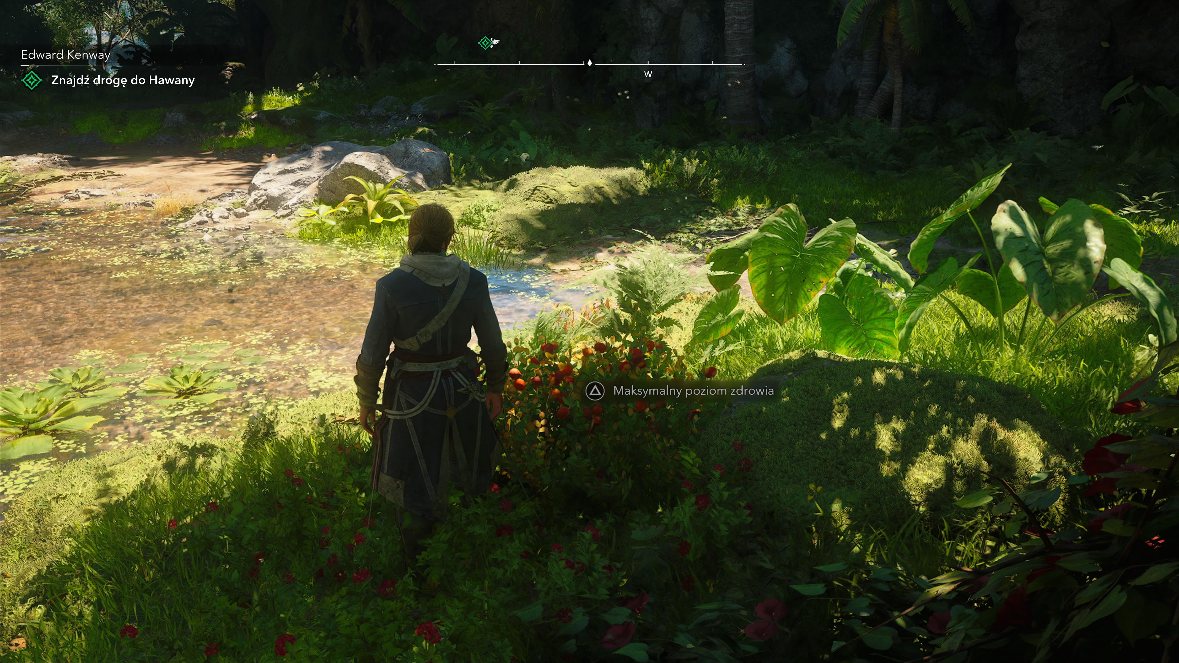 Assassin's Creed Black Flag Resynced - Zdrowie, przywracanie HP: jagody i lekarstwa