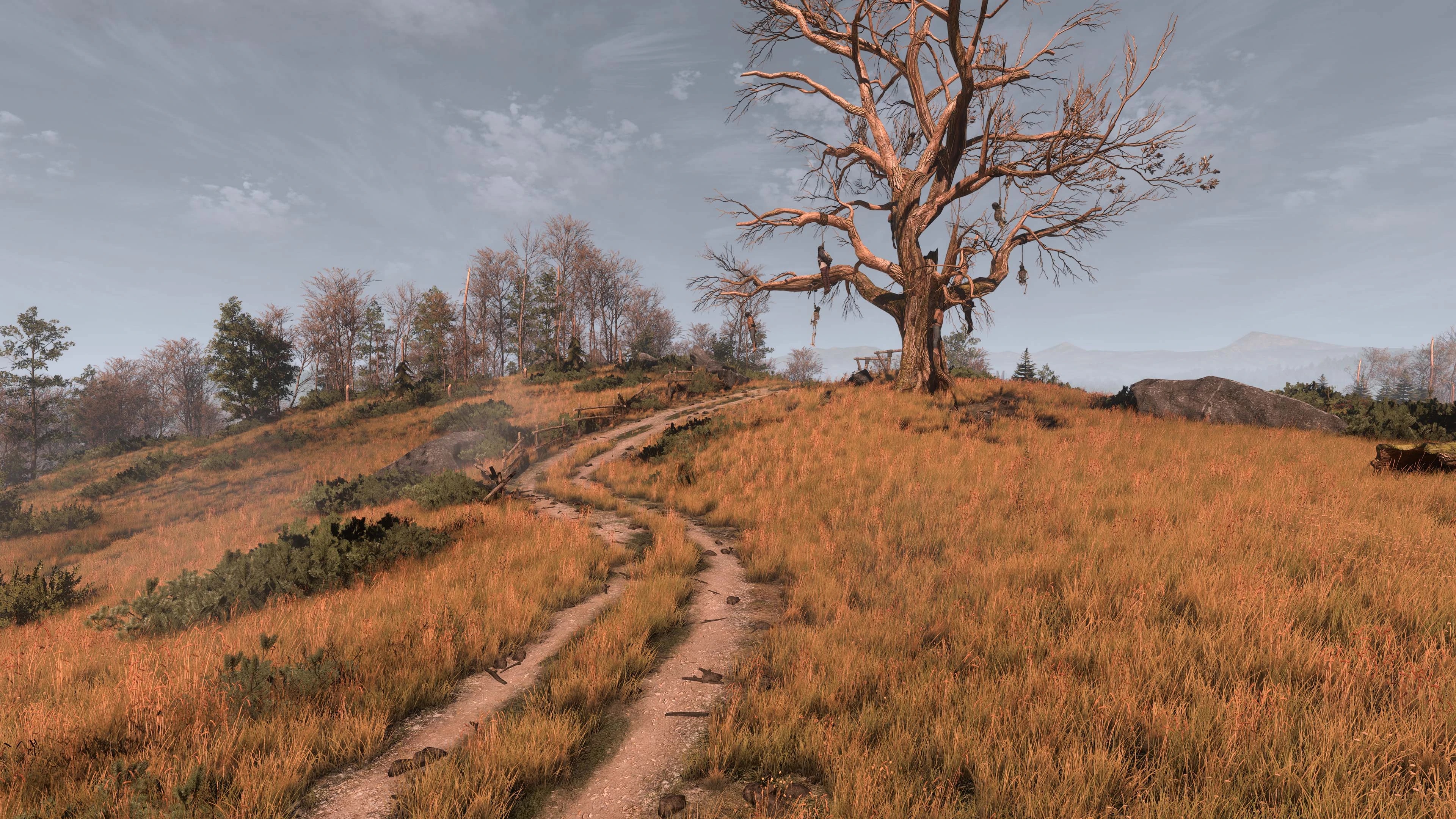 Wiedźmin 3 - modyfikacja #2