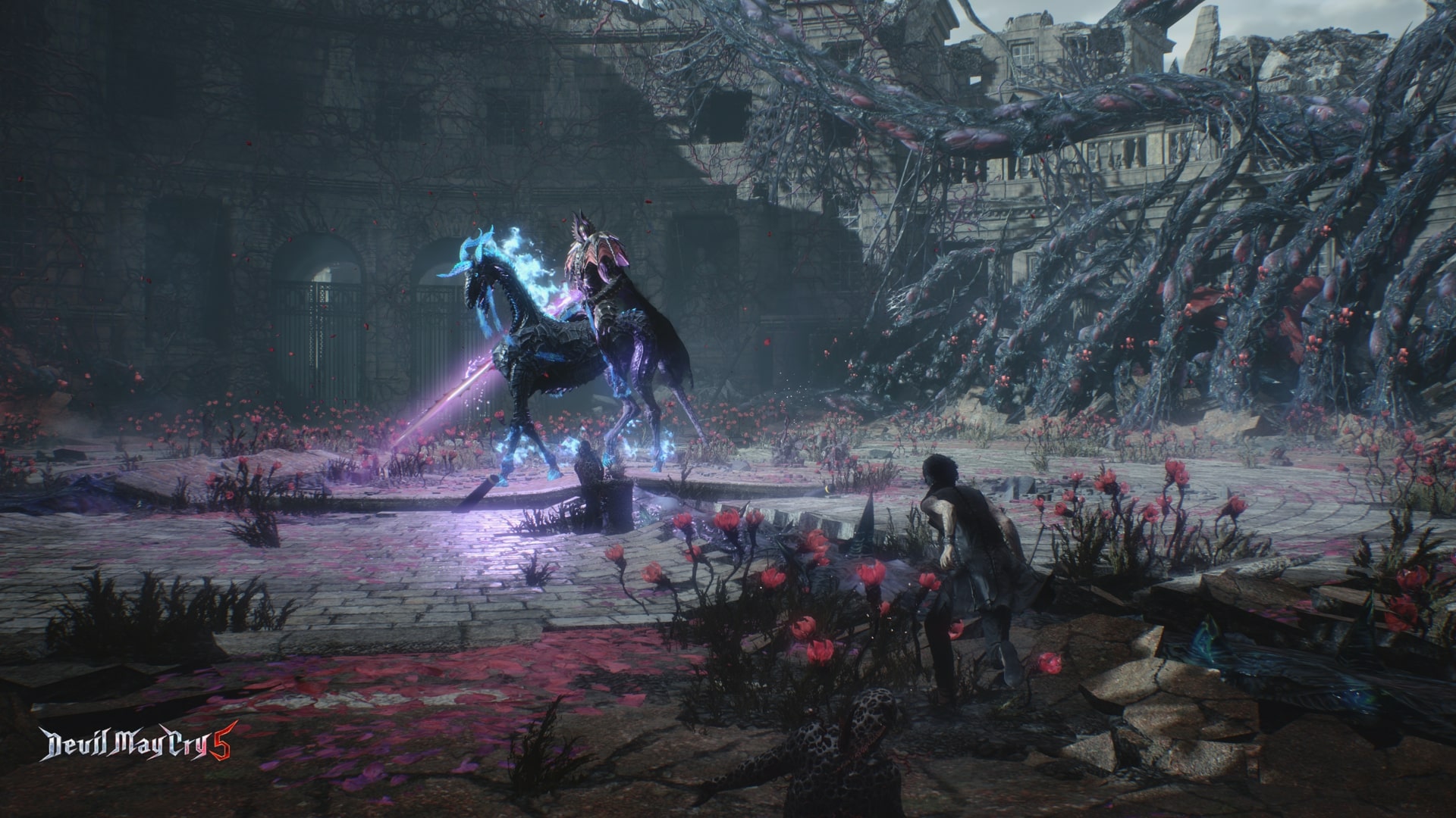 Ziemia Niczyja zaprasza