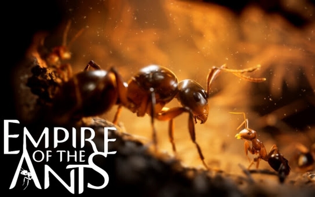 Furnicile sunt eroi într-un joc „realist”.  Ant Empire are premiera