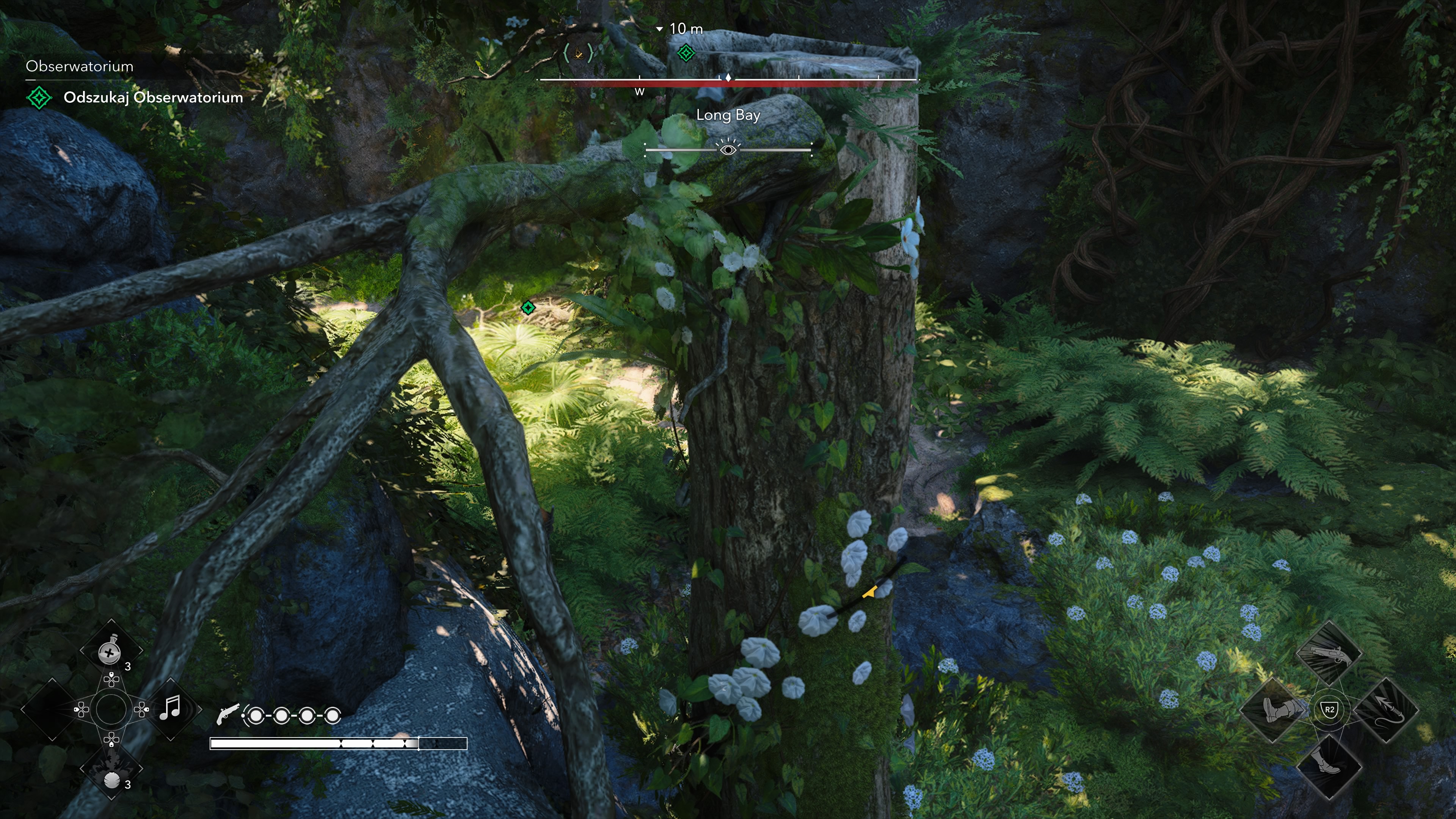 Assassin's Creed Black Flag Resynced - Obserwatorium: tubylcy, śledzenie, zdrada