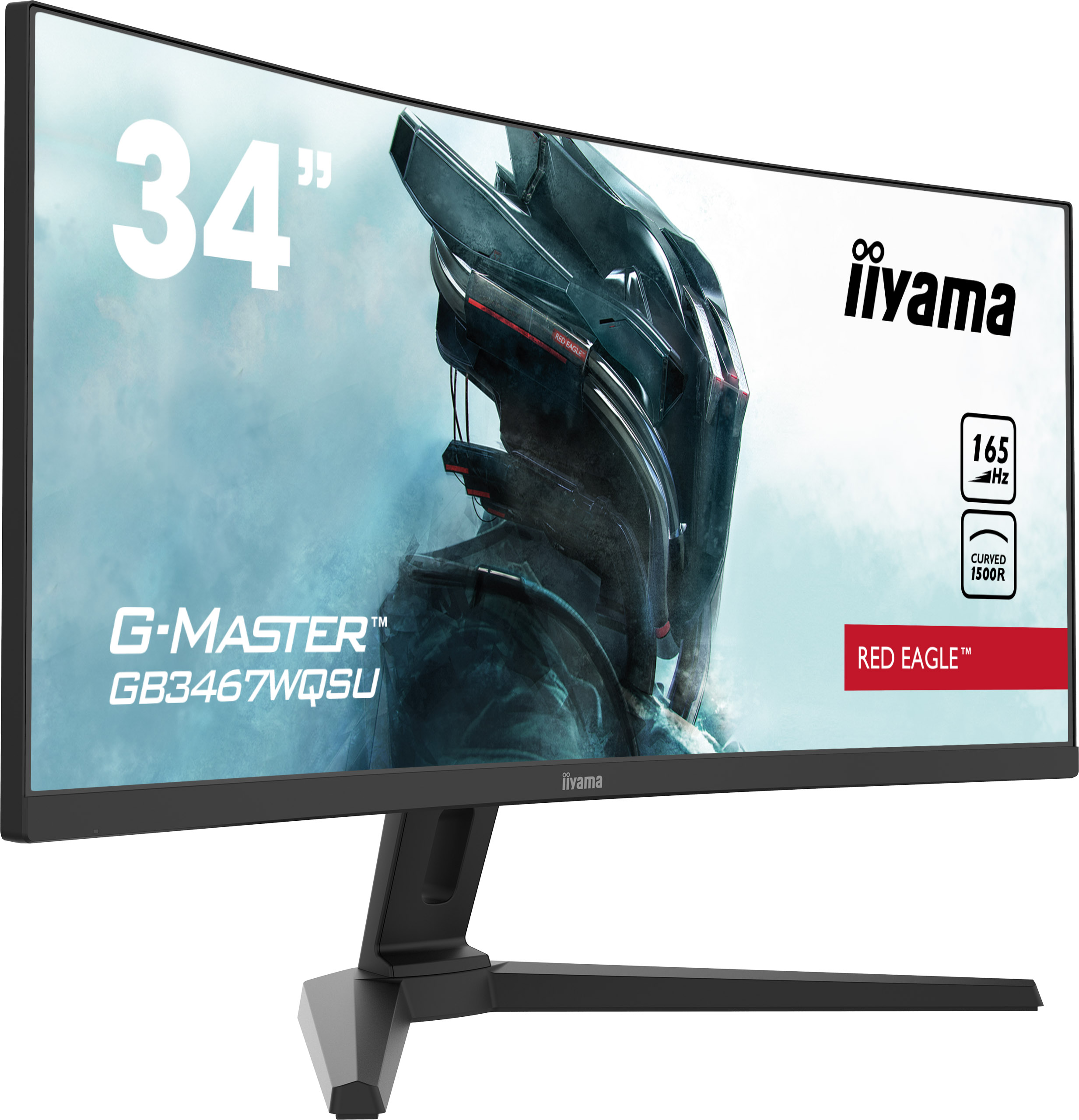 Iiyama_4