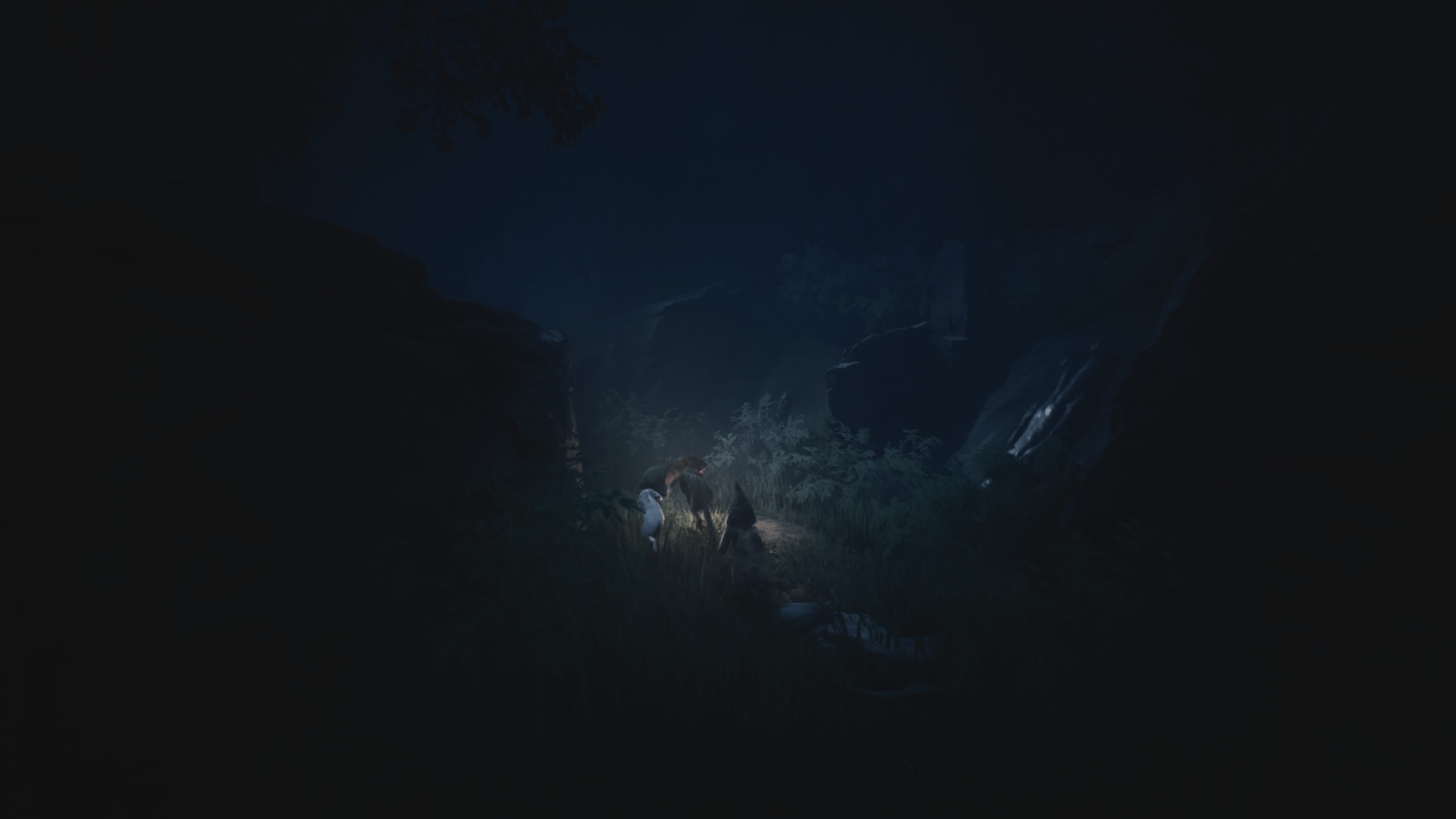 Reanimal - Akt 1: Jak trup w wodę, opis przejścia, znajdźki