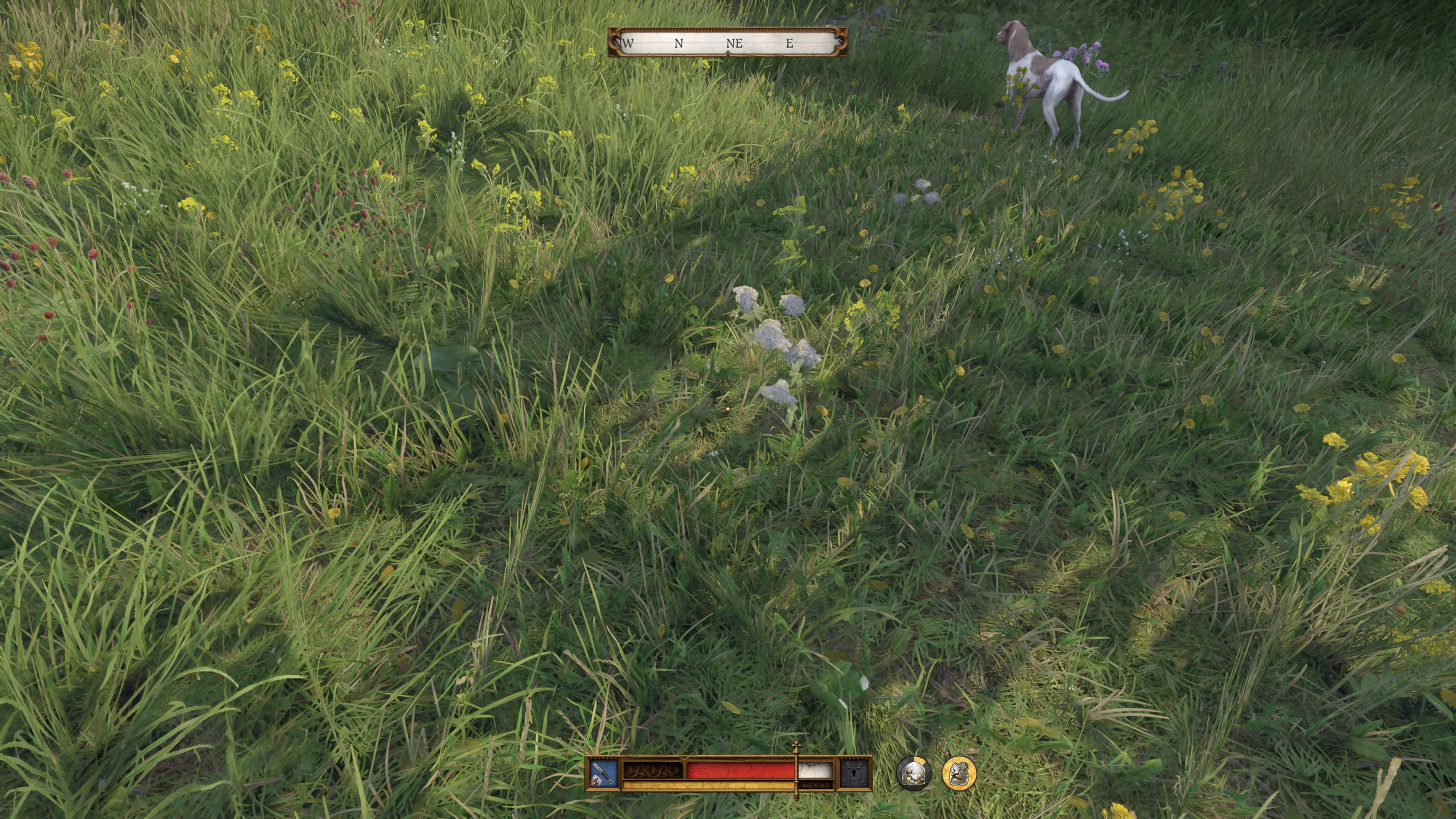 Kingdom Come Deliverance 2 - Źródło inspiracji: Malowanie tarczy, Sanktuarium, Kwiatosława, Waleriana, Suknia