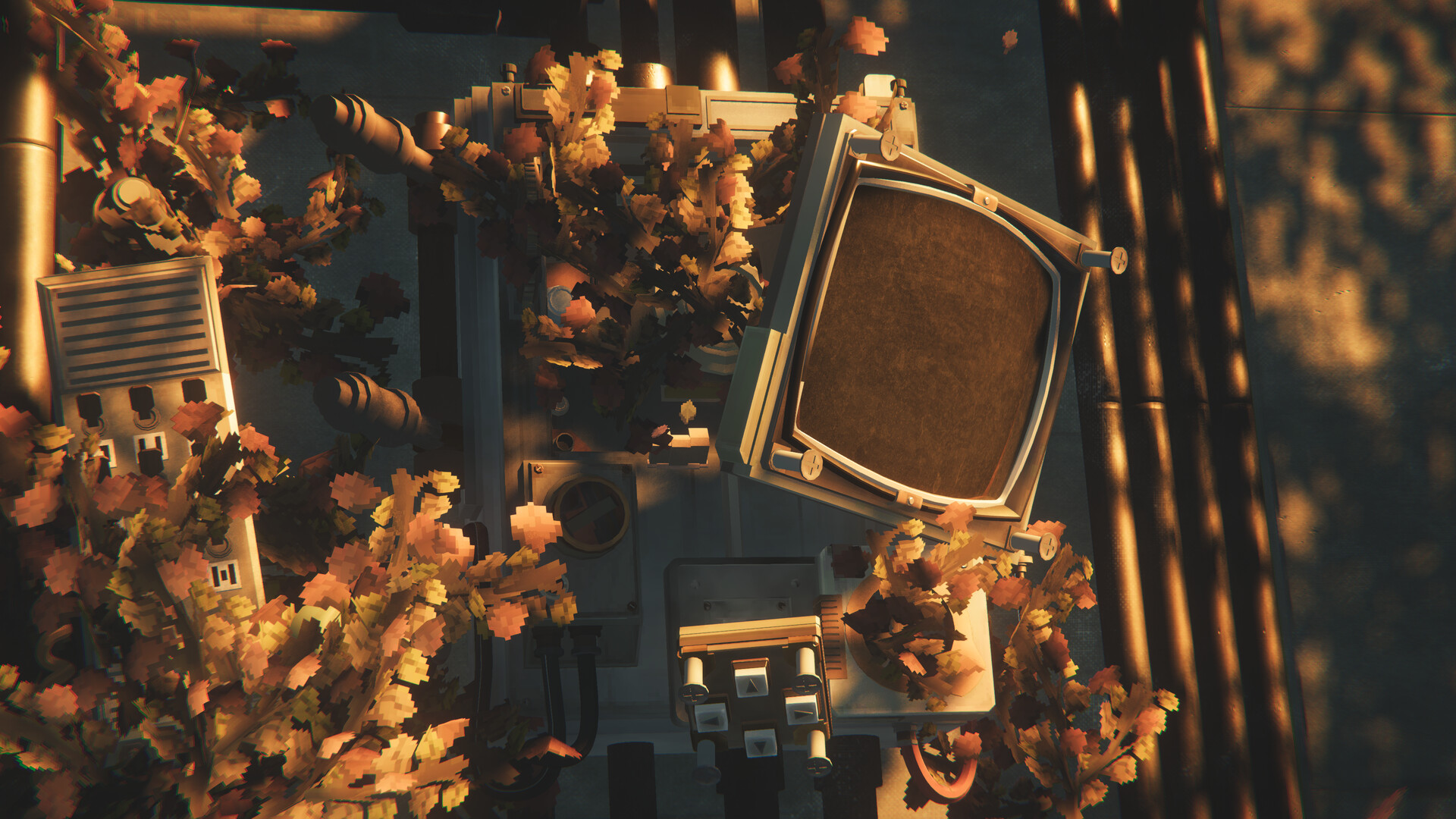 Beyond The Plastic Wall #6
