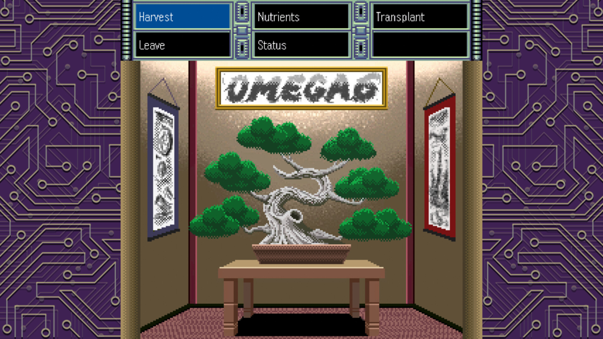 OMEGA 6: The Triangle Stars #5