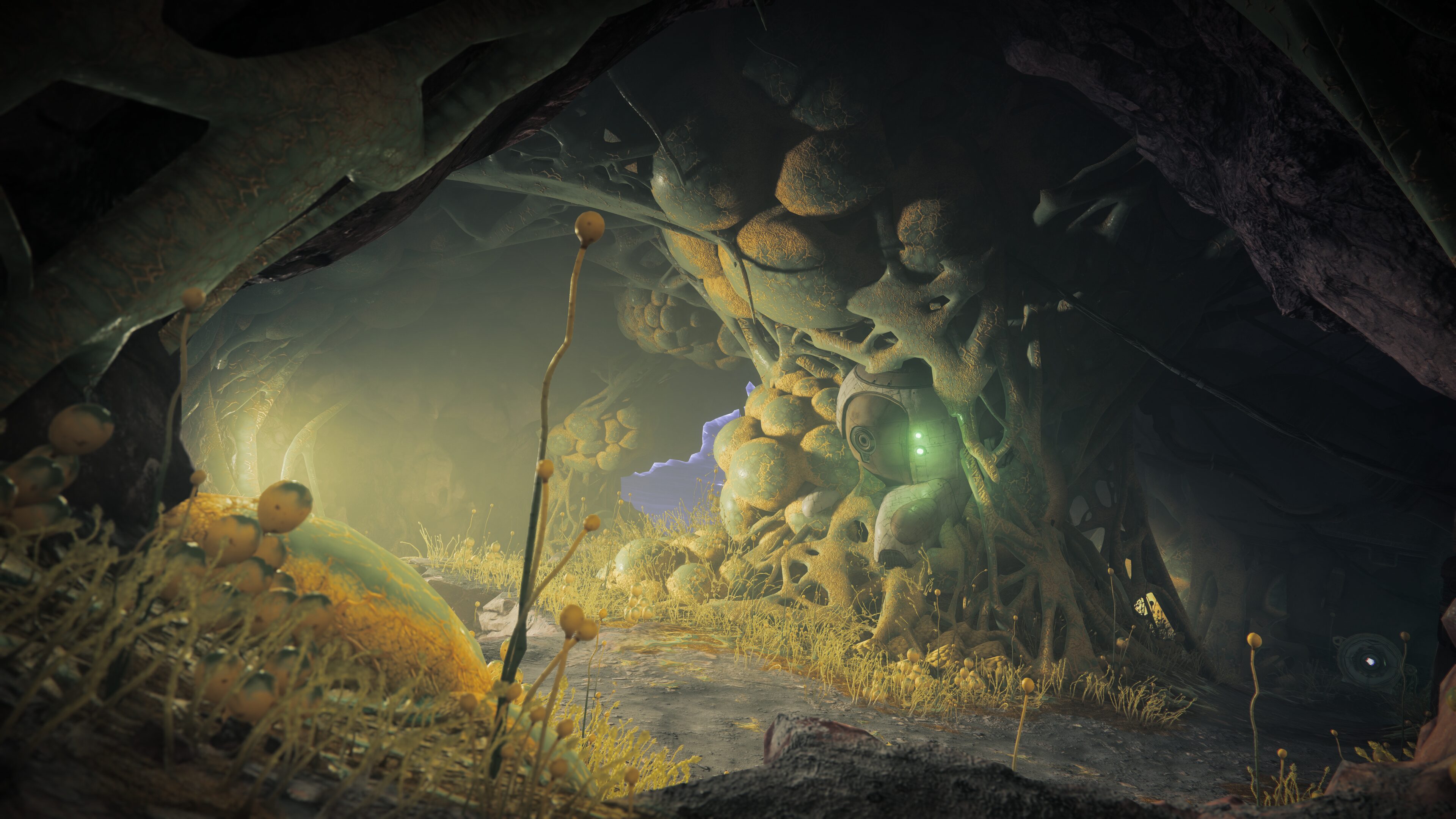 Destiny 2: The Edge of Fate #3