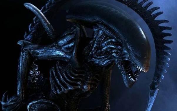 Nowa rada przed premierą Alien: Isolation - uważajcie na trupy
