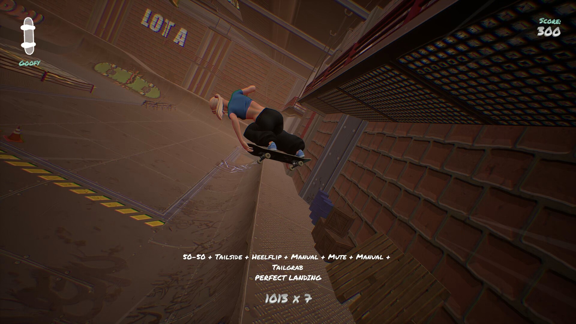 Skatesterre #9