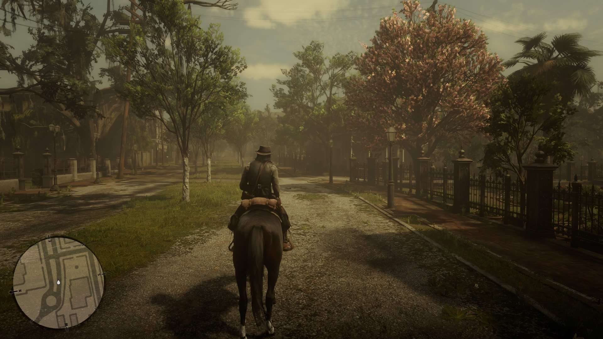 "Mistrzowskie promocje" Cenegi