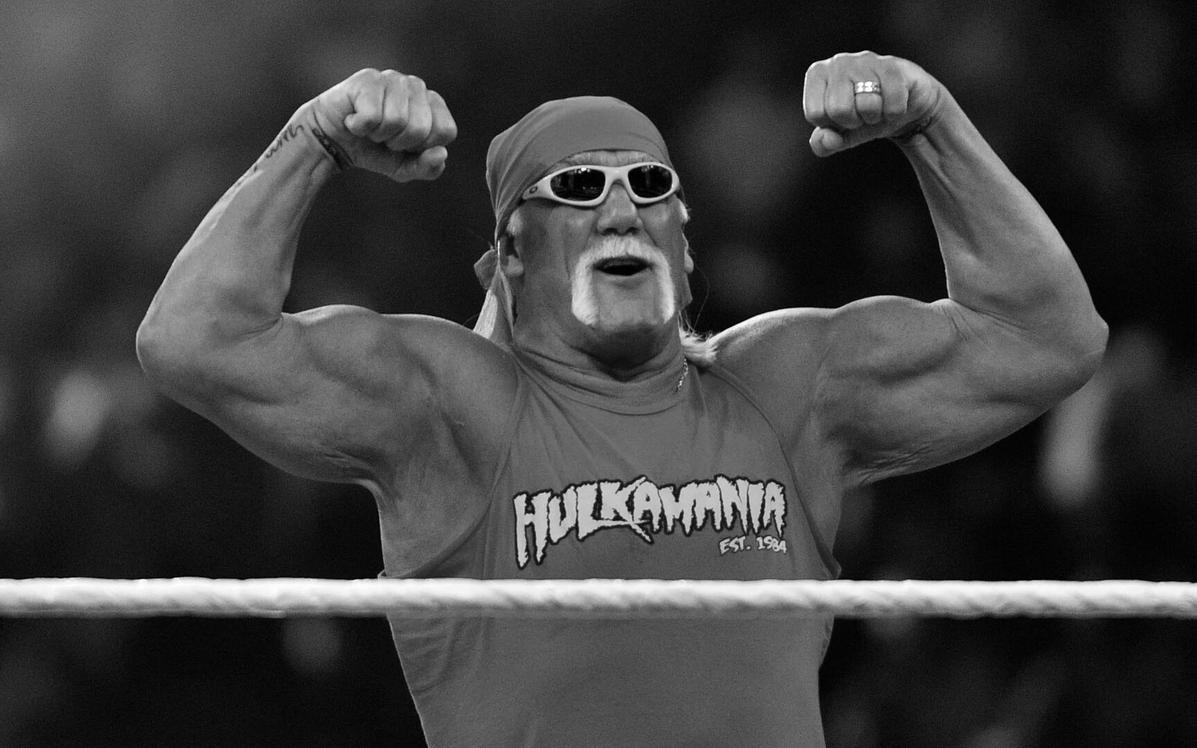 Hulk Hogan,