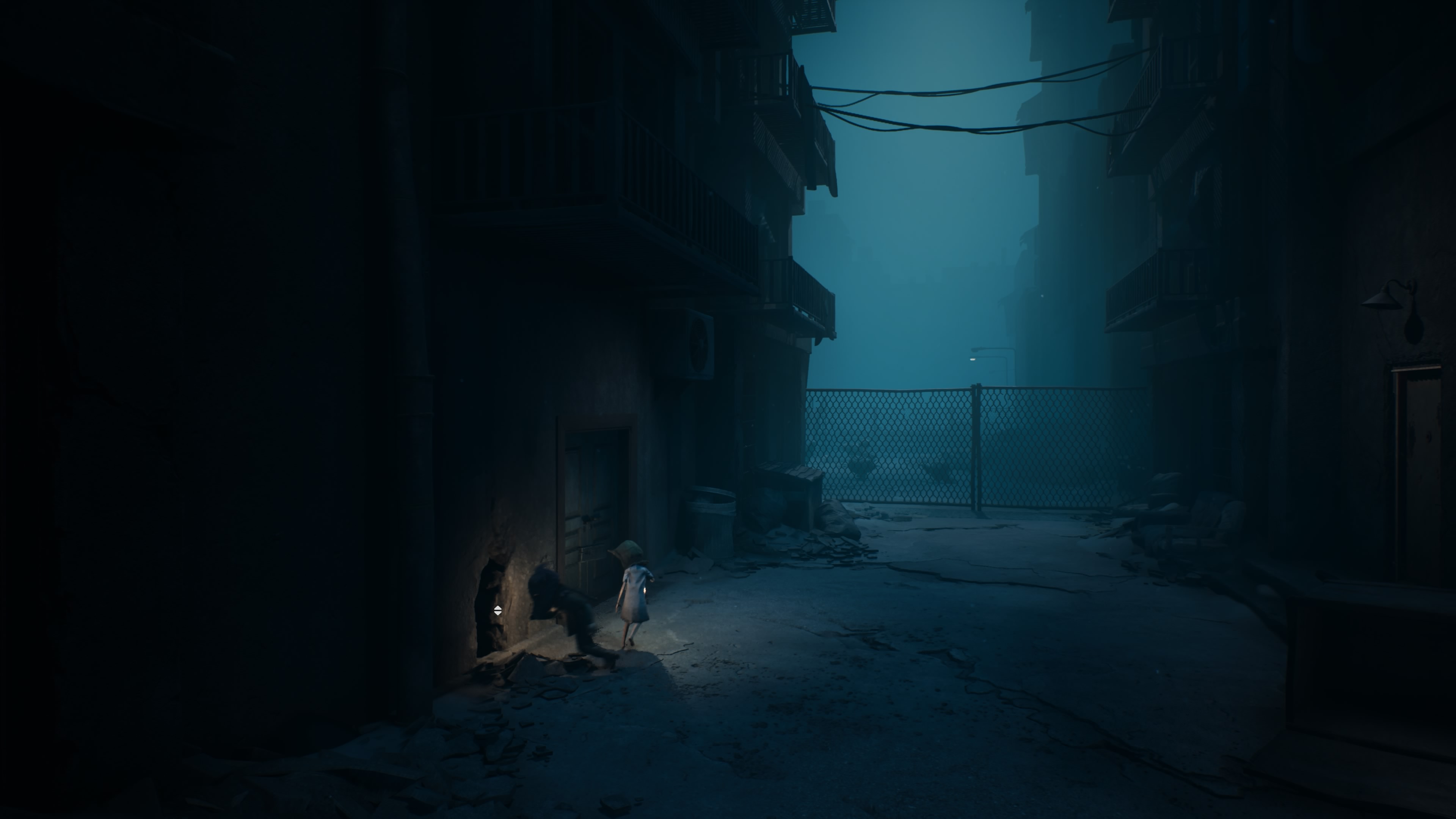 Reanimal - Akt 1: Dom oczyszczenia, opis przejścia, znajdźki