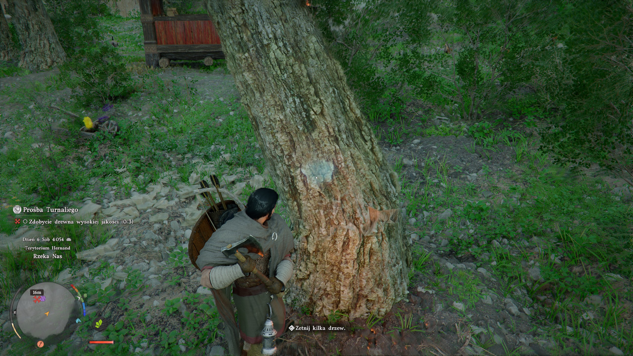 Crimson Desert - Prośba Turnaliego: drwal, siekiera