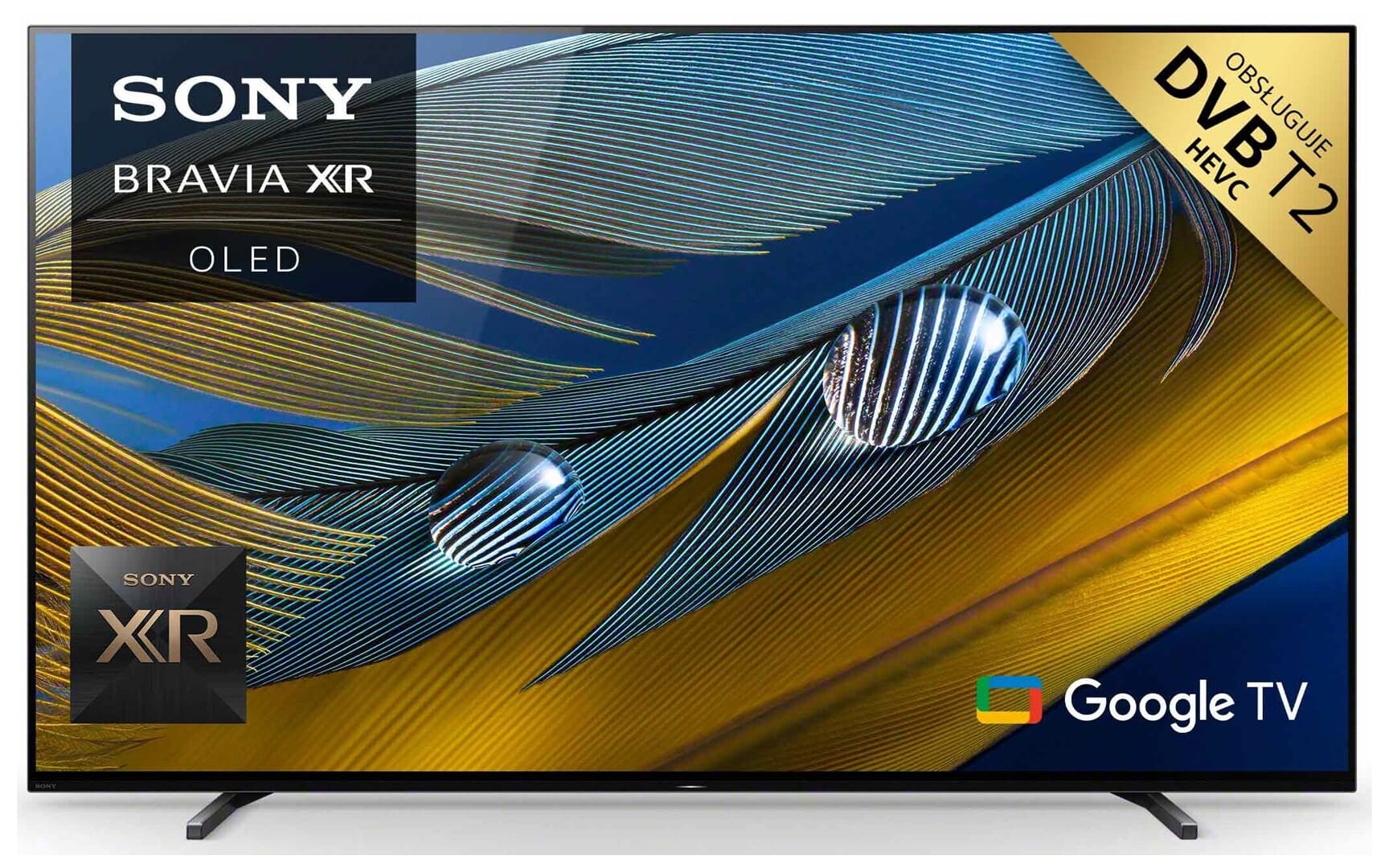 Sony OLED XR-55A80J 