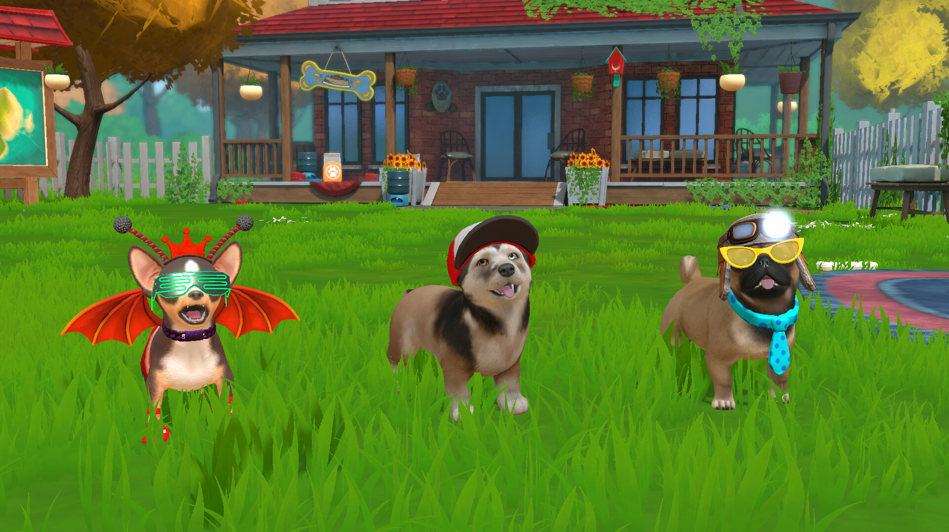 Little Friends: Puppy Island #4
