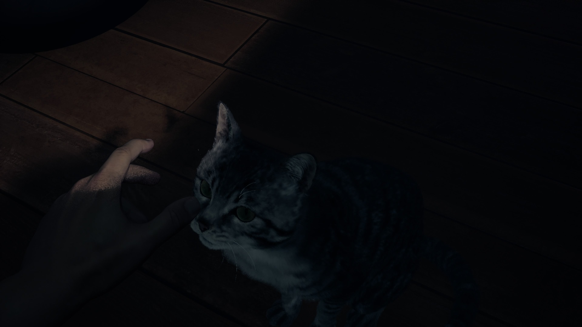 AILA (PS5) - galeria zdjęć #2