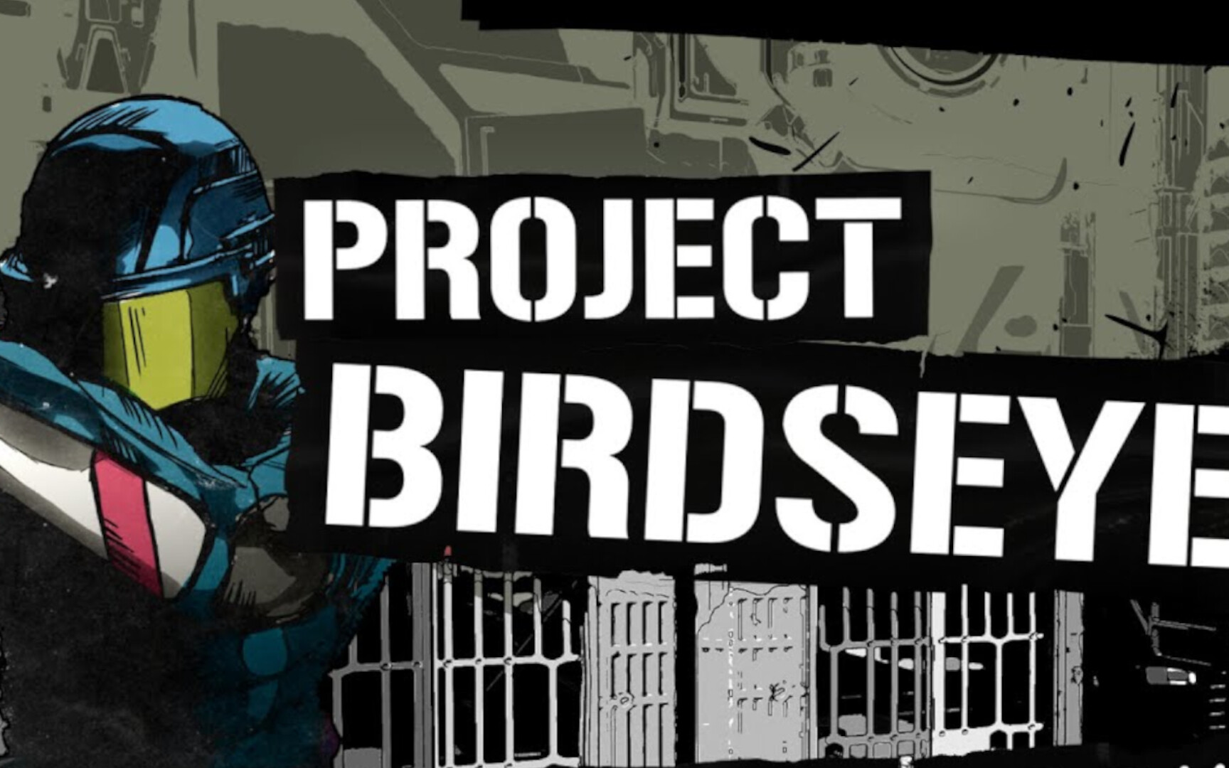 Project BirdsEye