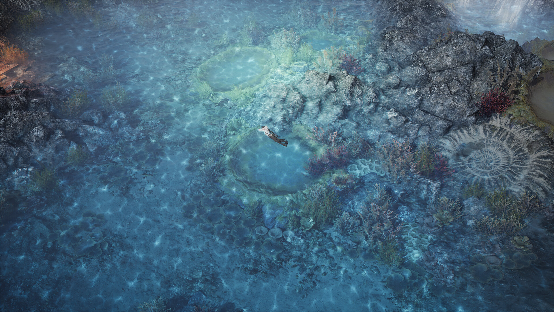 Embers of the Uncrowned #6