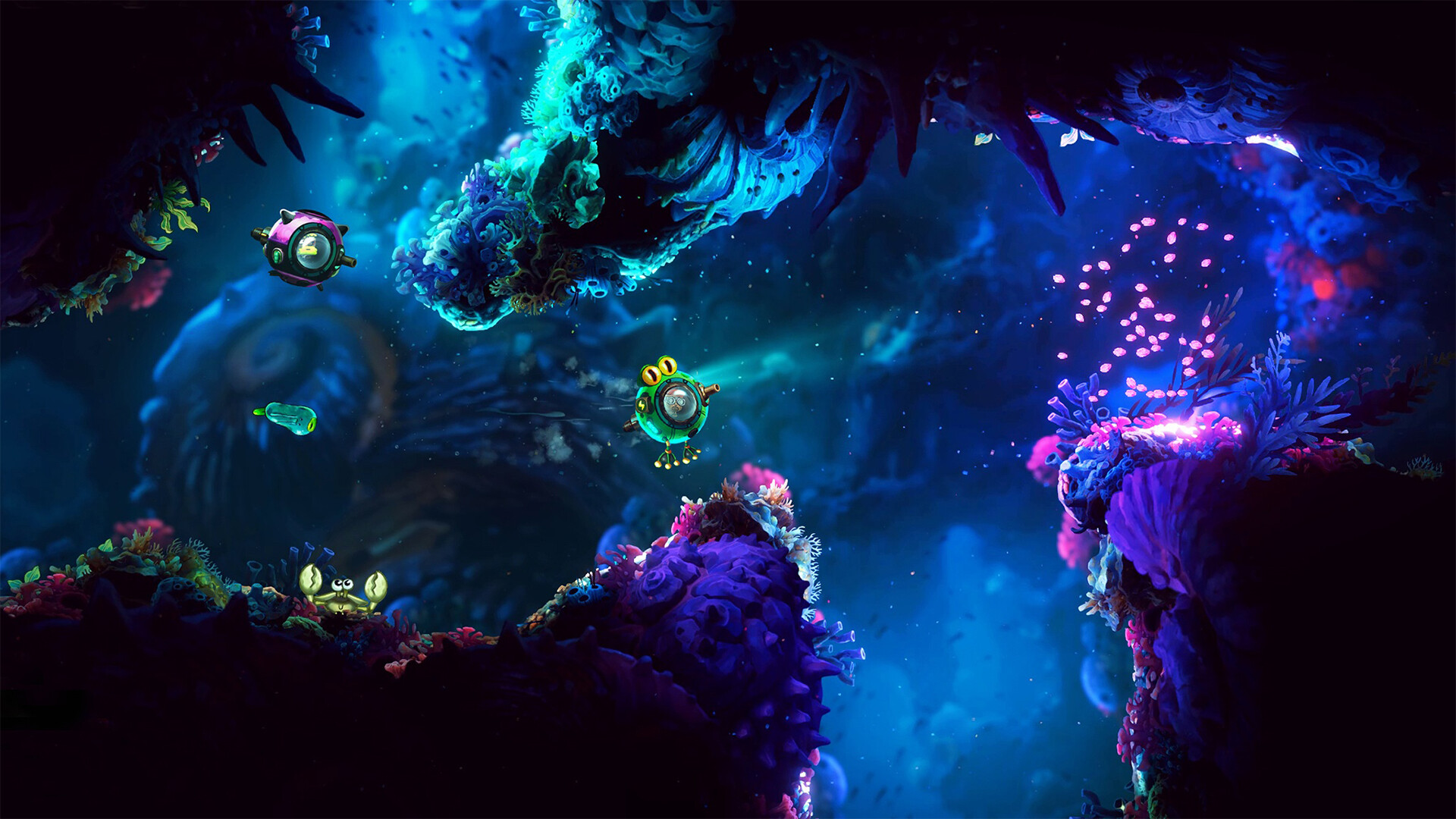 NAUTUS #8