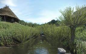 user-76687 blog gallery image