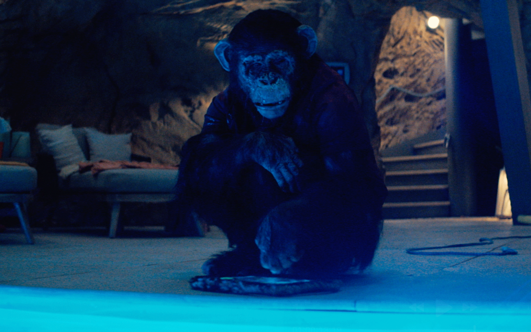 Szympans (2025) - recenzja filmu [UIP]. Kup sobie małpkę, mówili. Będzie fajnie...