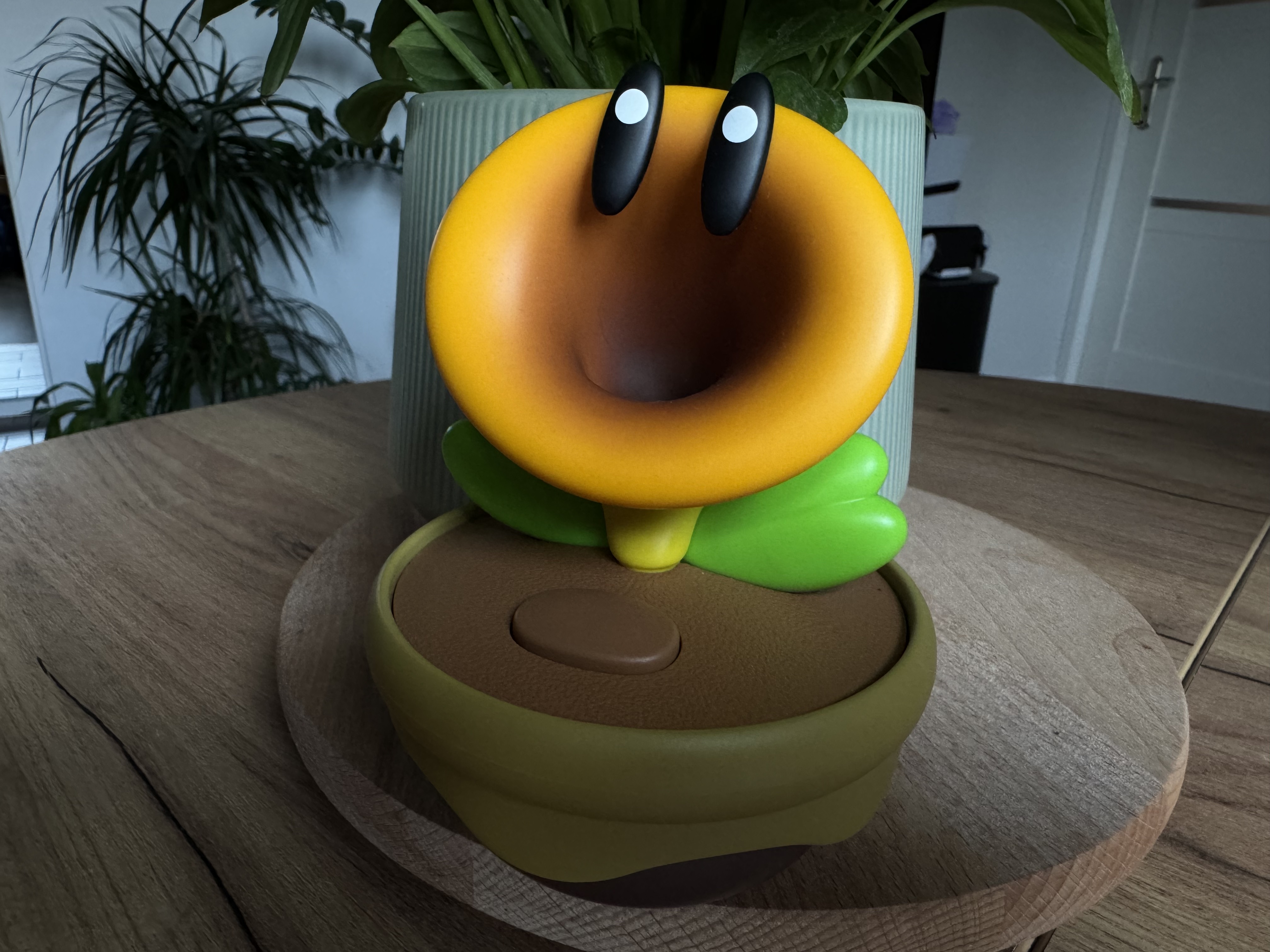 Nintendo Talking Flower - recenzja #12