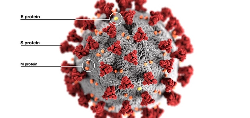 Darmowa gra może pomóc naukowcom w walce z koronawirusem