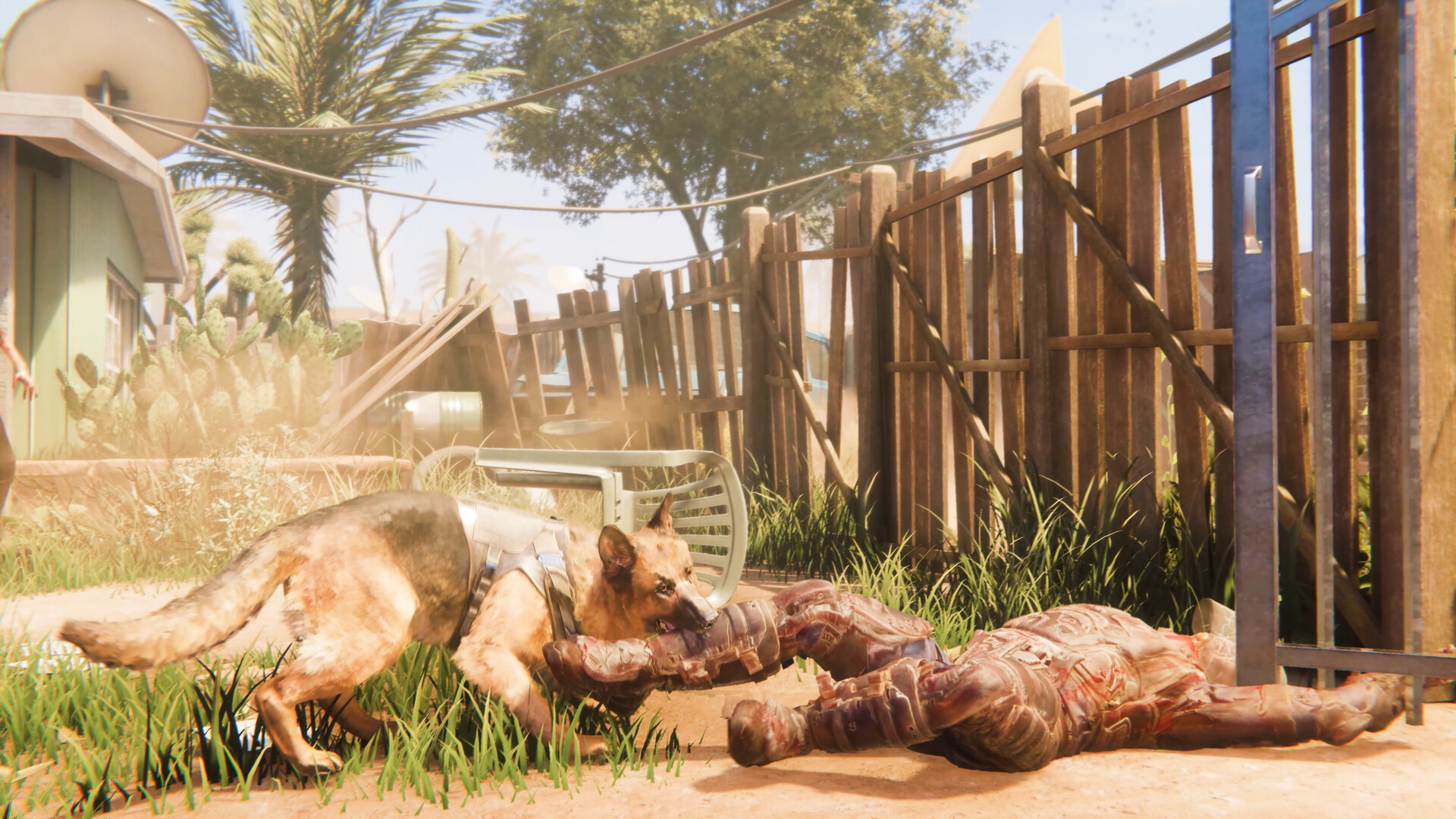 Arizona Sunshine (TPP remake) #2