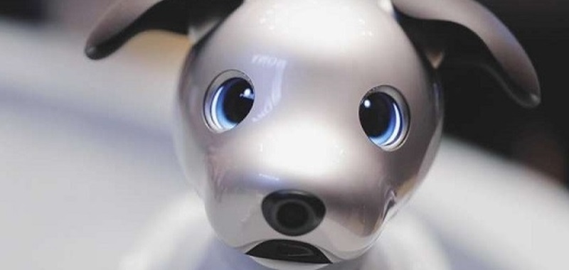 Sony opracowuje robota-towarzysza, który odczytuje emocje. Idealna opcja dla samotnych graczy