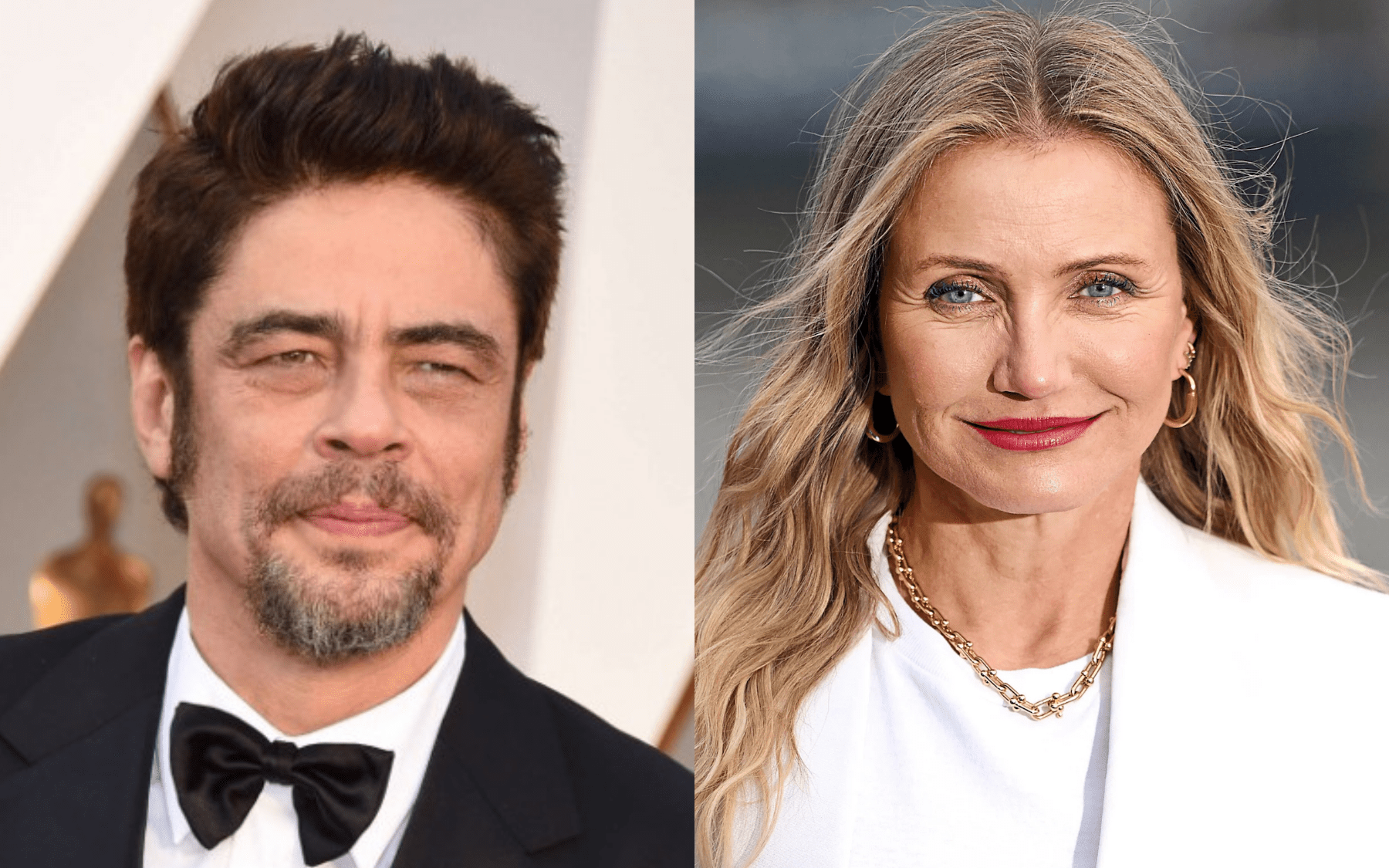 Benicio Del Toro / Cameron Diaz