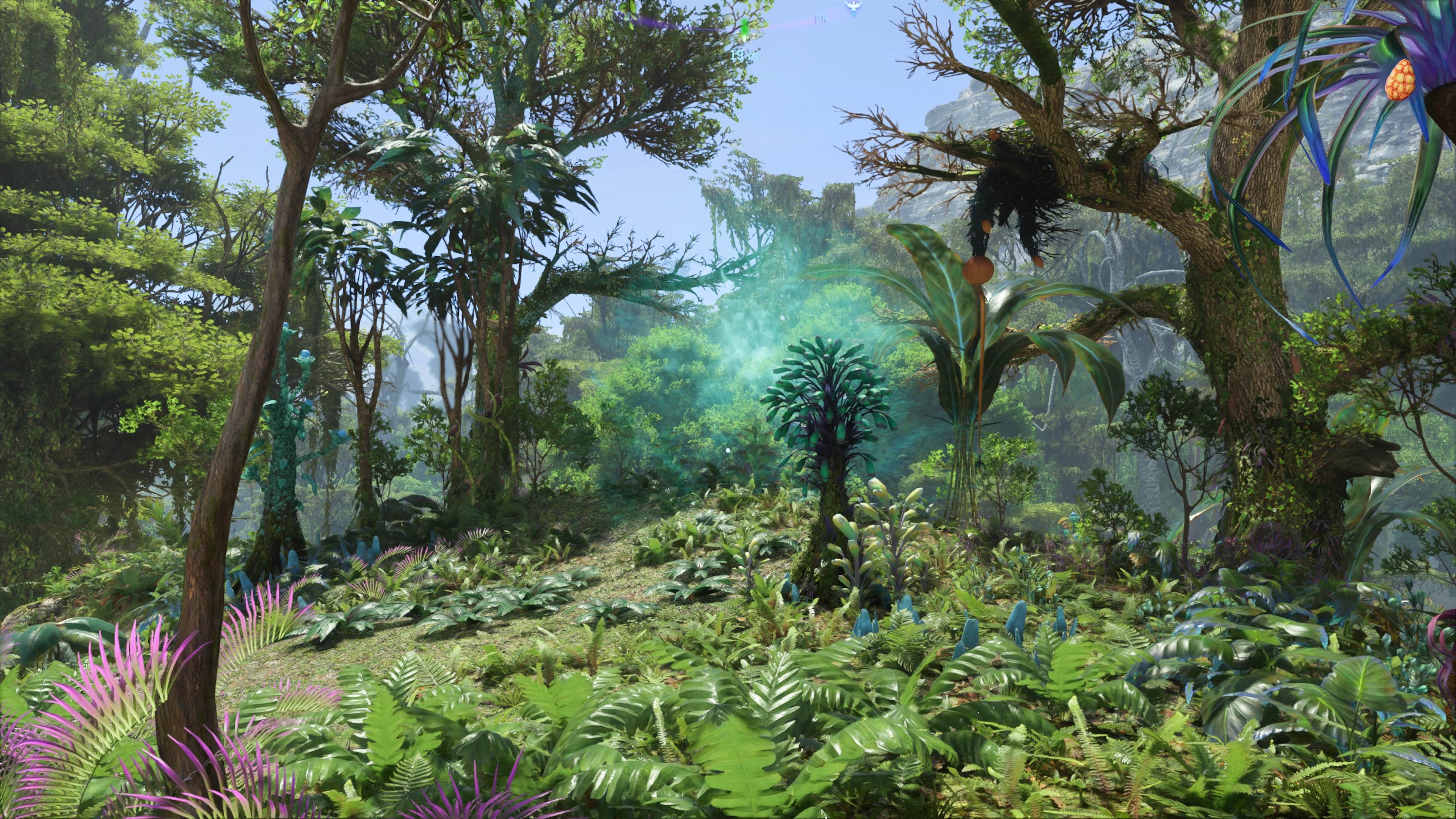 Avatar Frontiers of Pandora: Dzwonopęd w Las Kinglor: wszystkie drzewa zwiększające maksymalne zdrowie (HP)