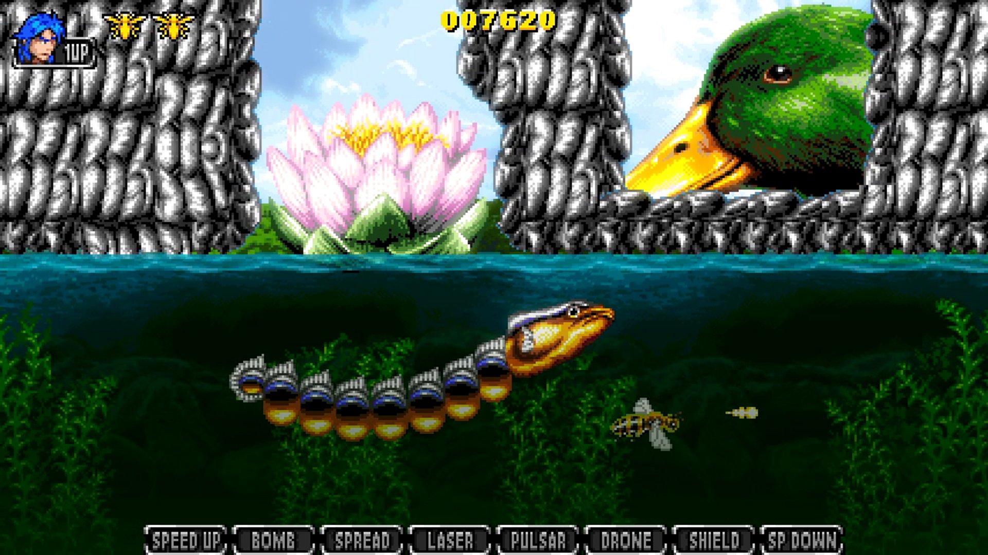 user-2110135 blog gallery image