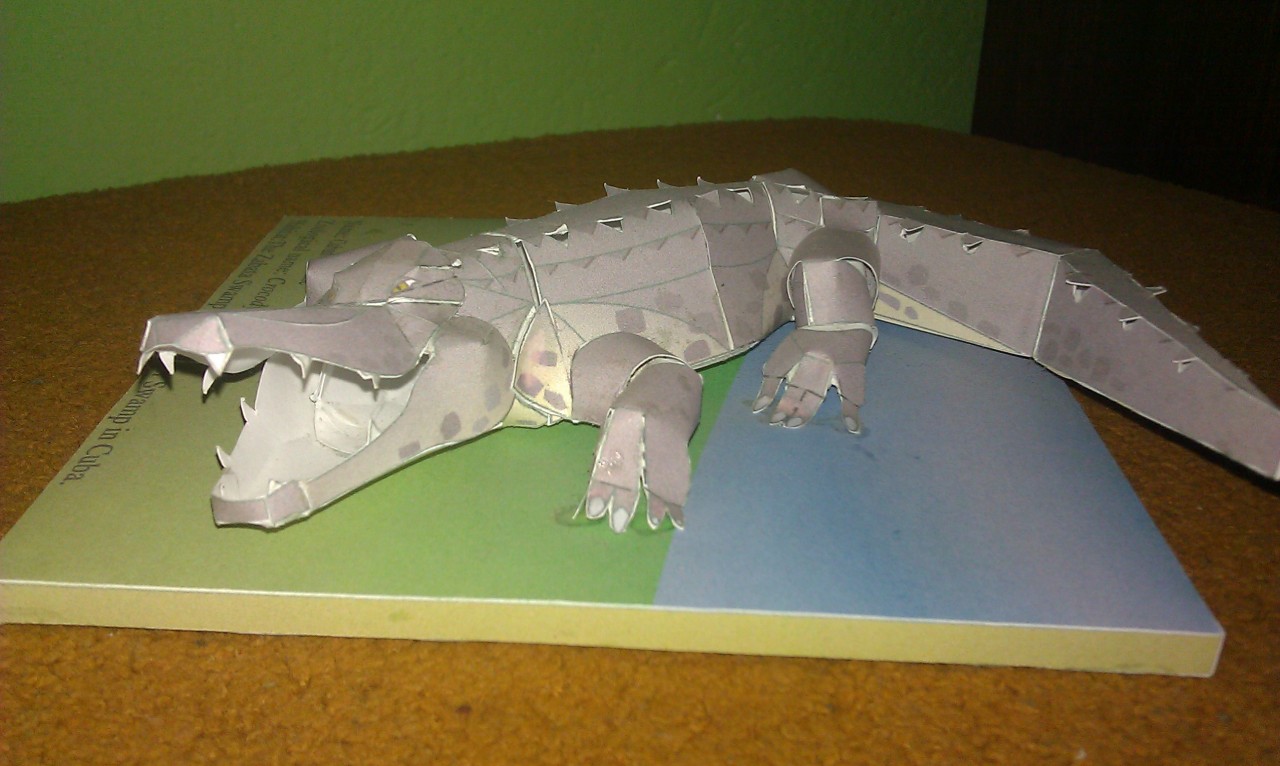 Retromuzyka: Cannon F. vs Donkey KC +bonus