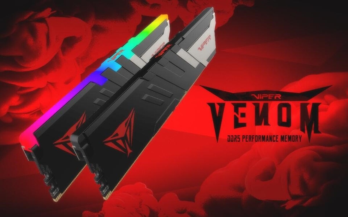 VIPER VENOM DDR5 